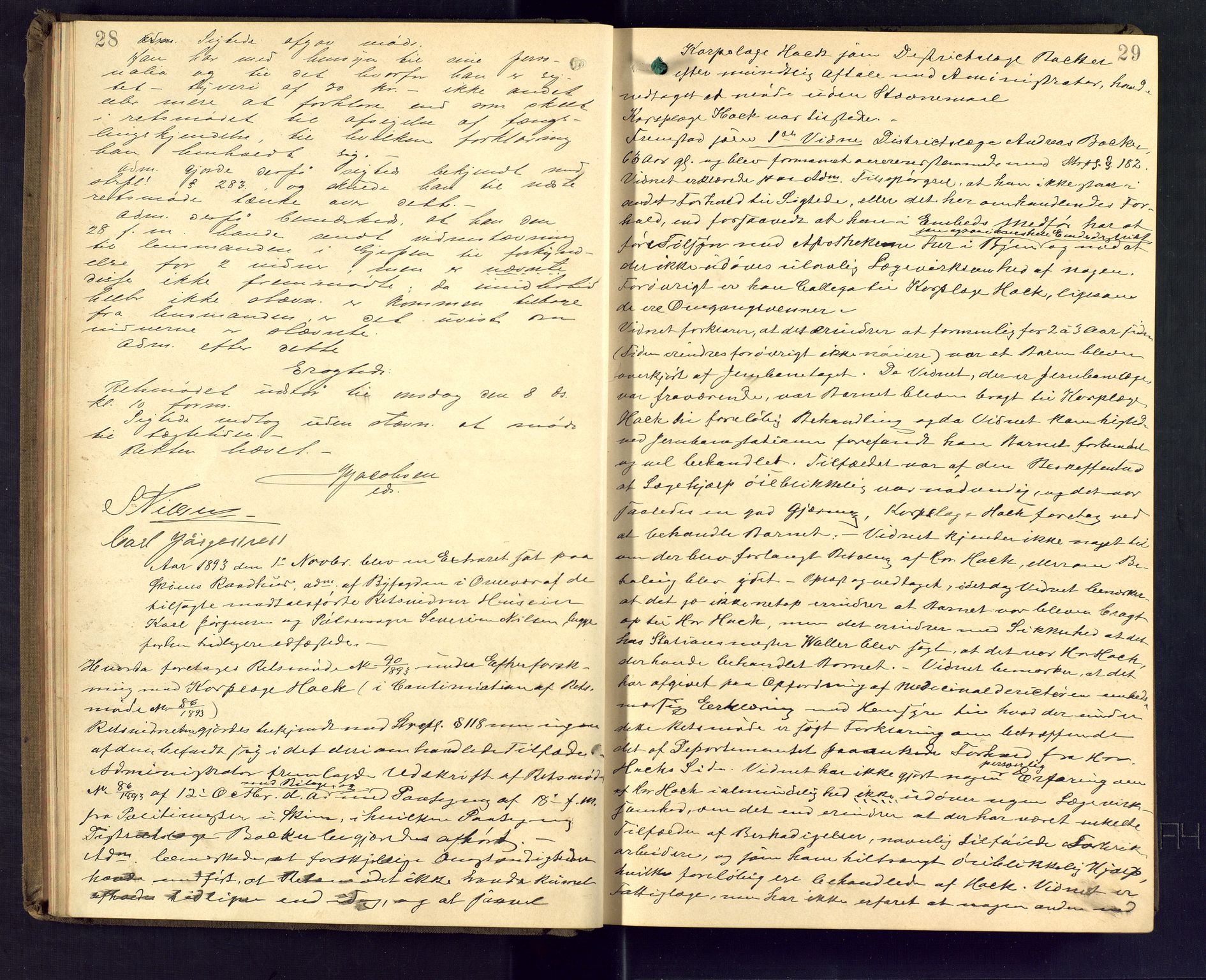Skien byfogd, AV/SAKO-A-219/F/Fb/L0010: Forhørsprotokoll, 1893-1894, p. 28-29