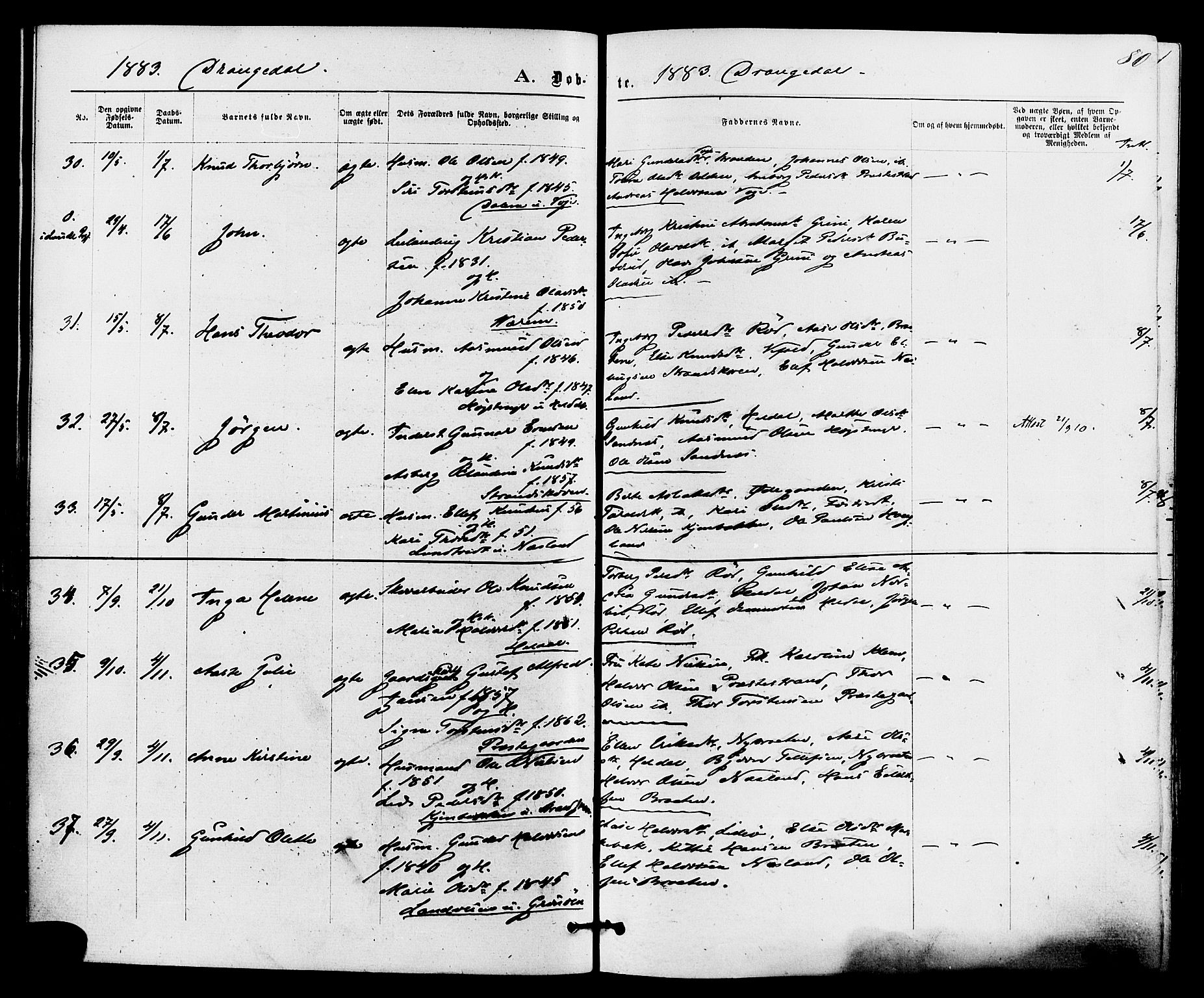 Drangedal kirkebøker, AV/SAKO-A-258/F/Fa/L0009: Parish register (official) no. 9 /1, 1872-1884, p. 80