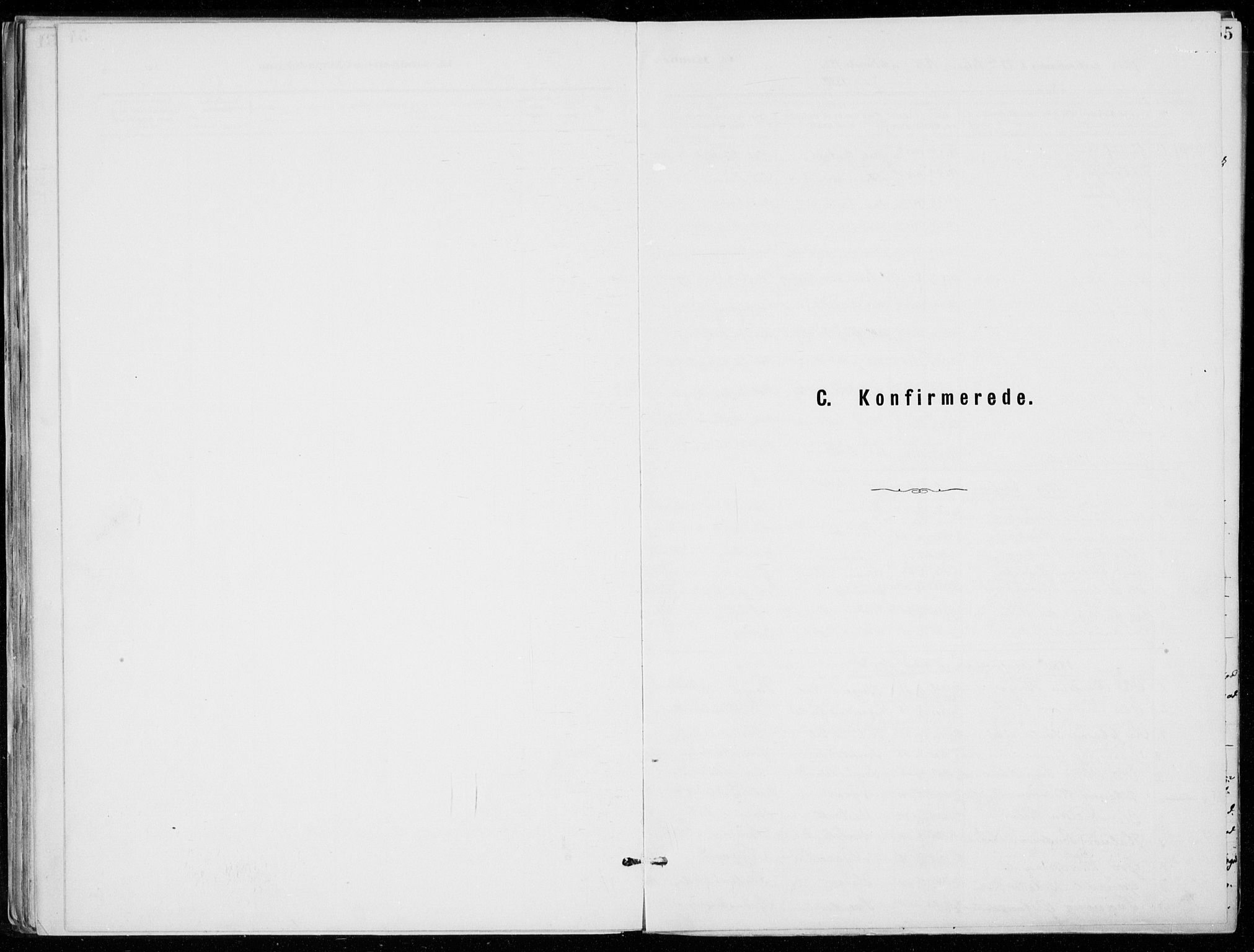 Tinn kirkebøker, AV/SAKO-A-308/F/Fb/L0002: Parish register (official) no. II 2, 1878-1917