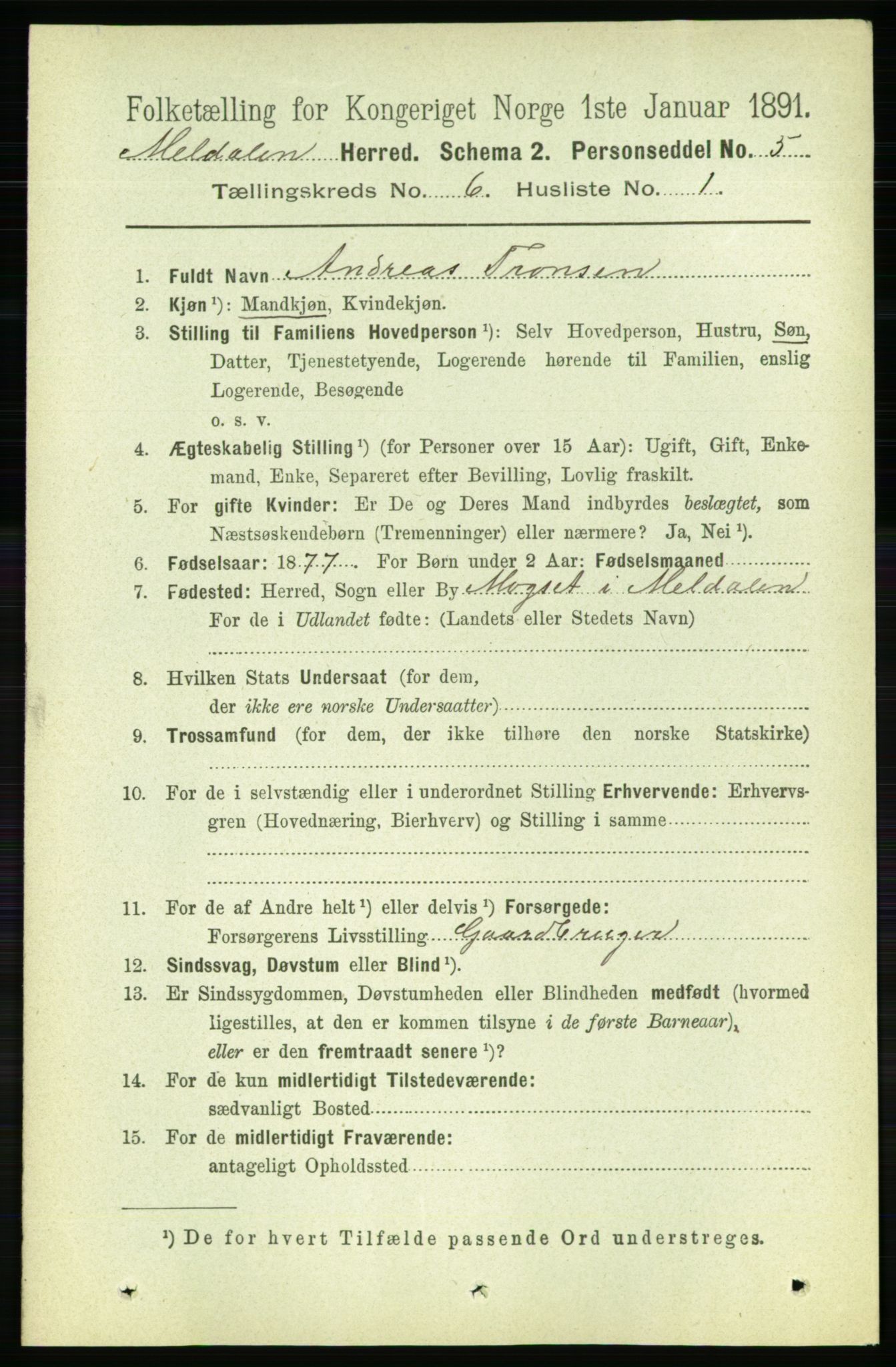 RA, 1891 census for 1636 Meldal, 1891, p. 2873