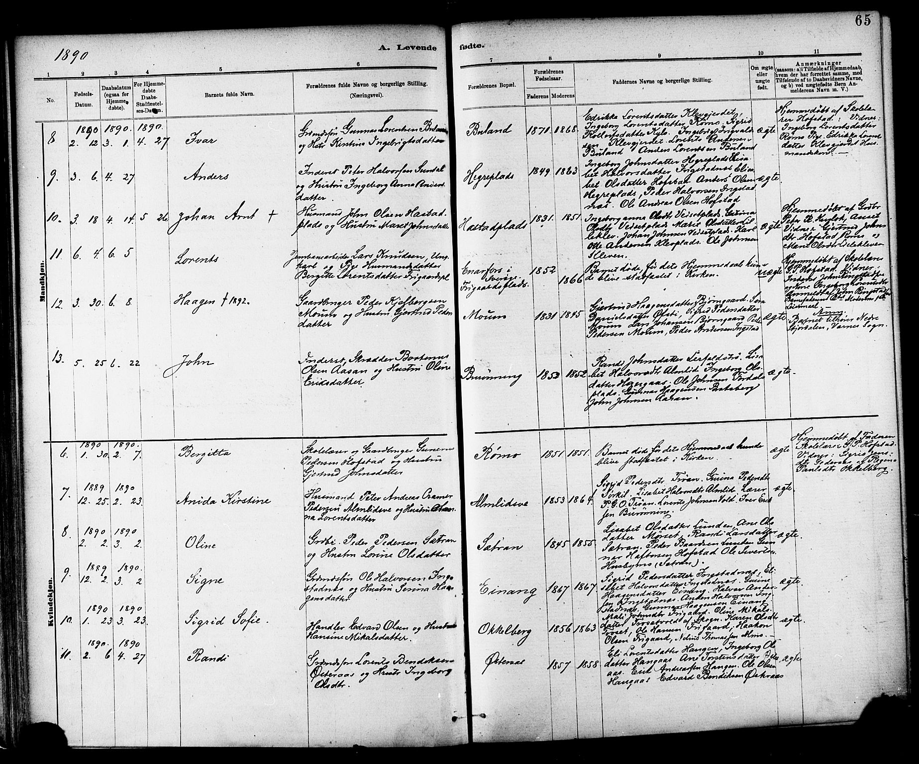 Ministerialprotokoller, klokkerbøker og fødselsregistre - Nord-Trøndelag, SAT/A-1458/703/L0030: Parish register (official) no. 703A03, 1880-1892, p. 65