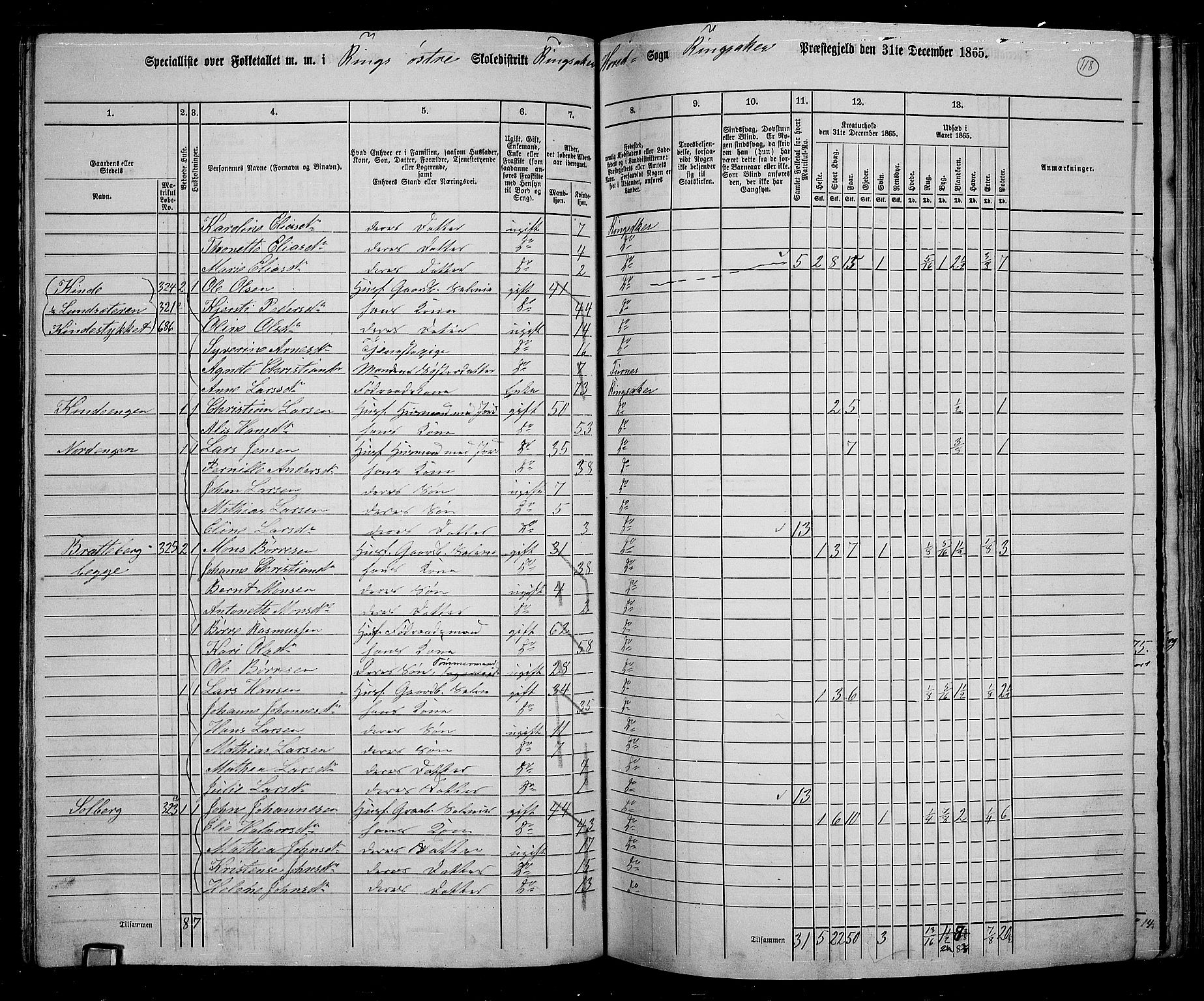 RA, 1865 census for Ringsaker, 1865, p. 366