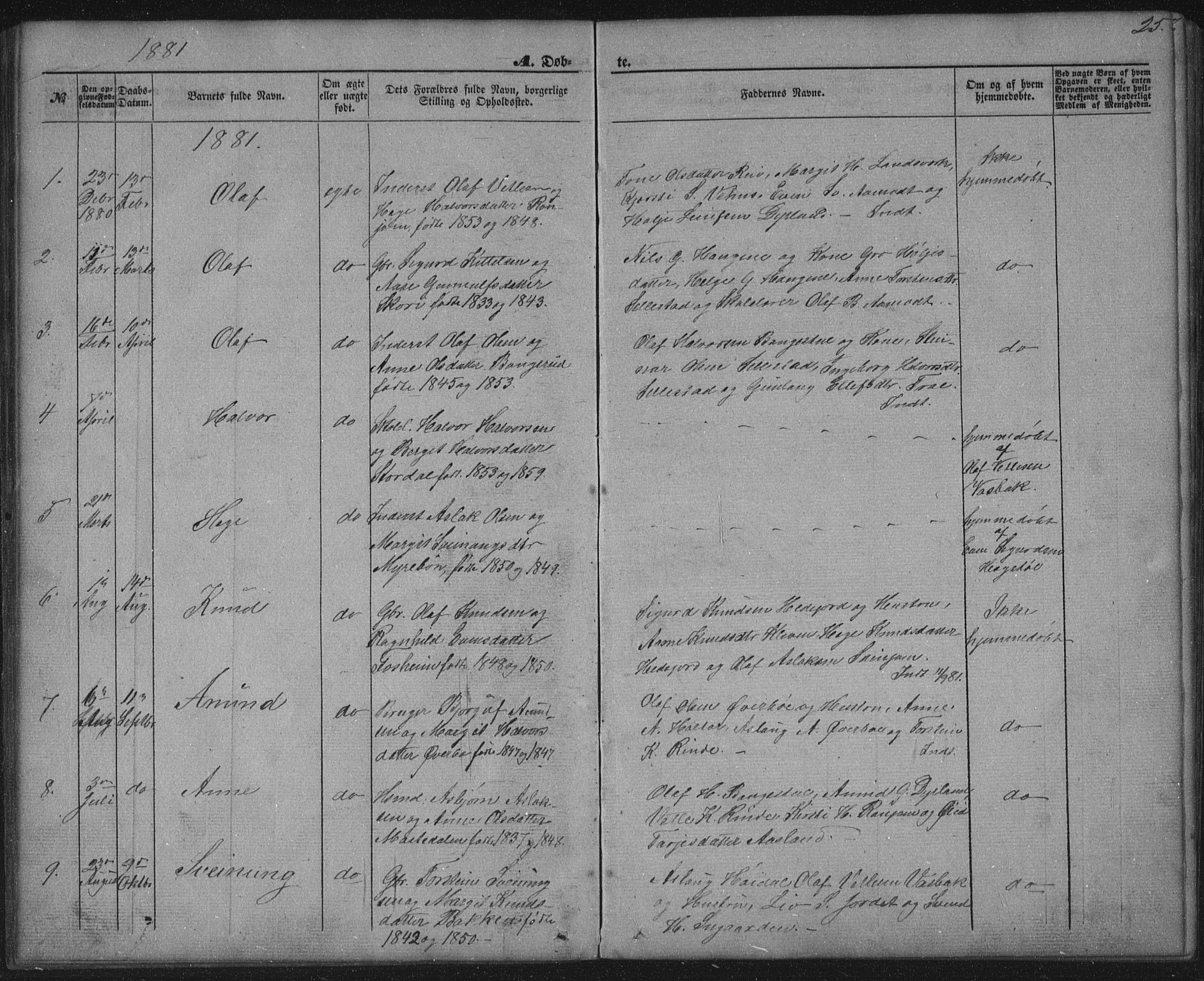 Seljord kirkebøker, SAKO/A-20/G/Gc/L0002: Parish register (copy) no. III 2, 1872-1886, p. 25