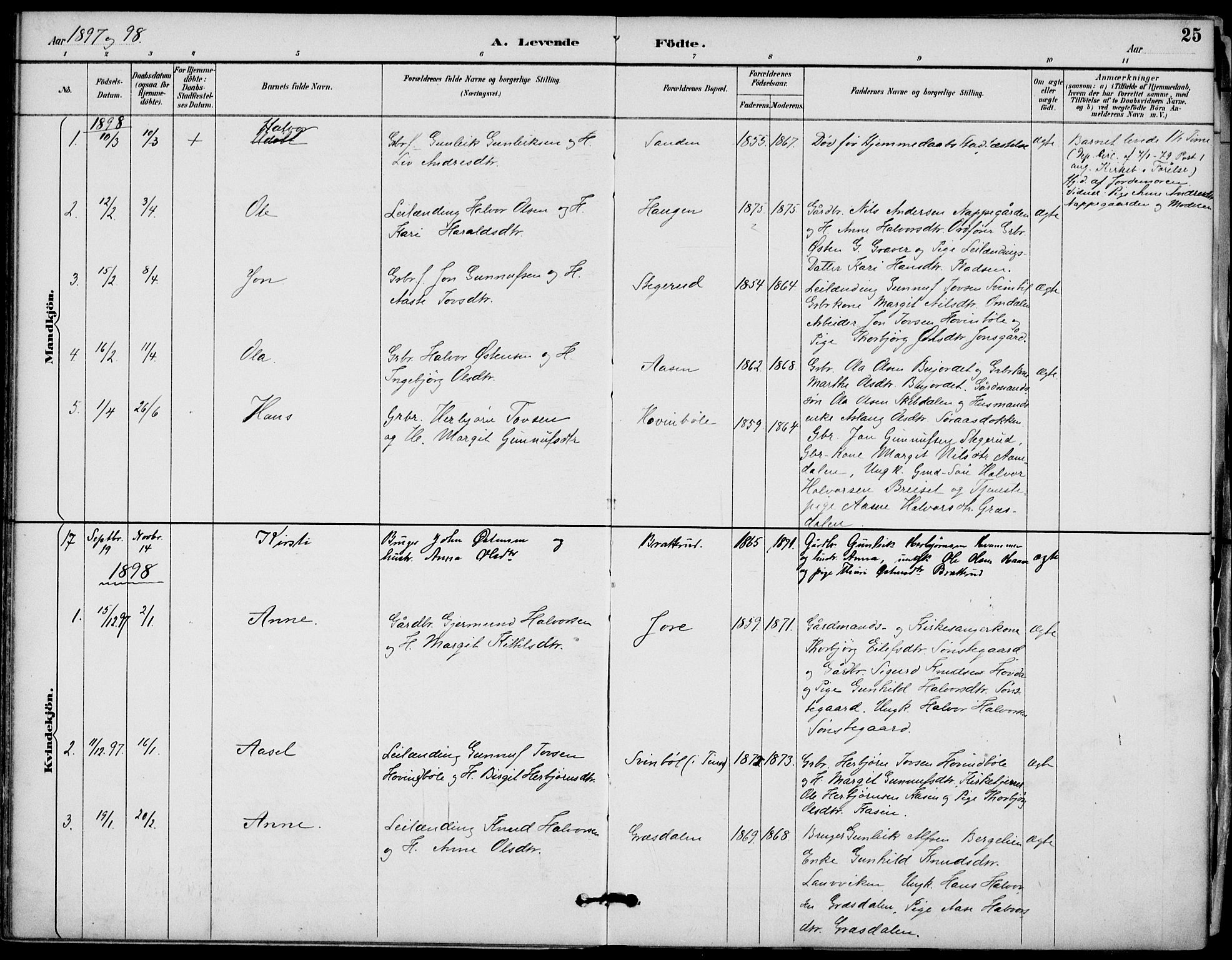 Gransherad kirkebøker, SAKO/A-267/F/Fb/L0005: Parish register (official) no. II 5, 1887-1916, p. 25