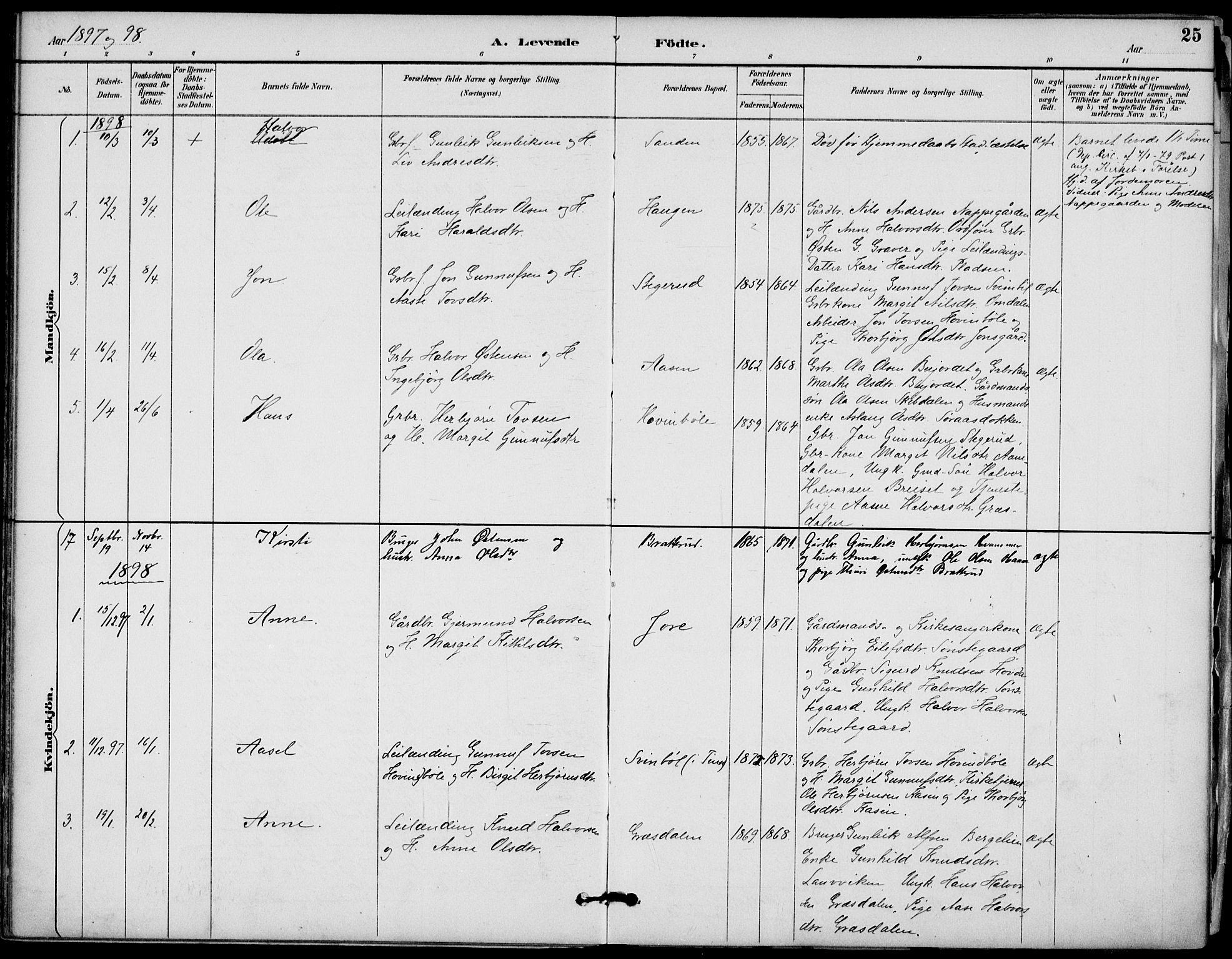 Gransherad kirkebøker, AV/SAKO-A-267/F/Fb/L0005: Parish register (official) no. II 5, 1887-1916, p. 25