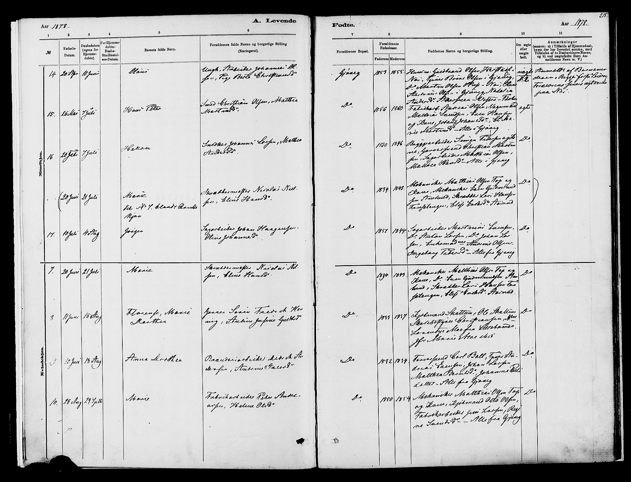 Vardal prestekontor, SAH/PREST-100/H/Ha/Haa/L0008: Parish register (official) no. 8, 1878-1890, p. 215