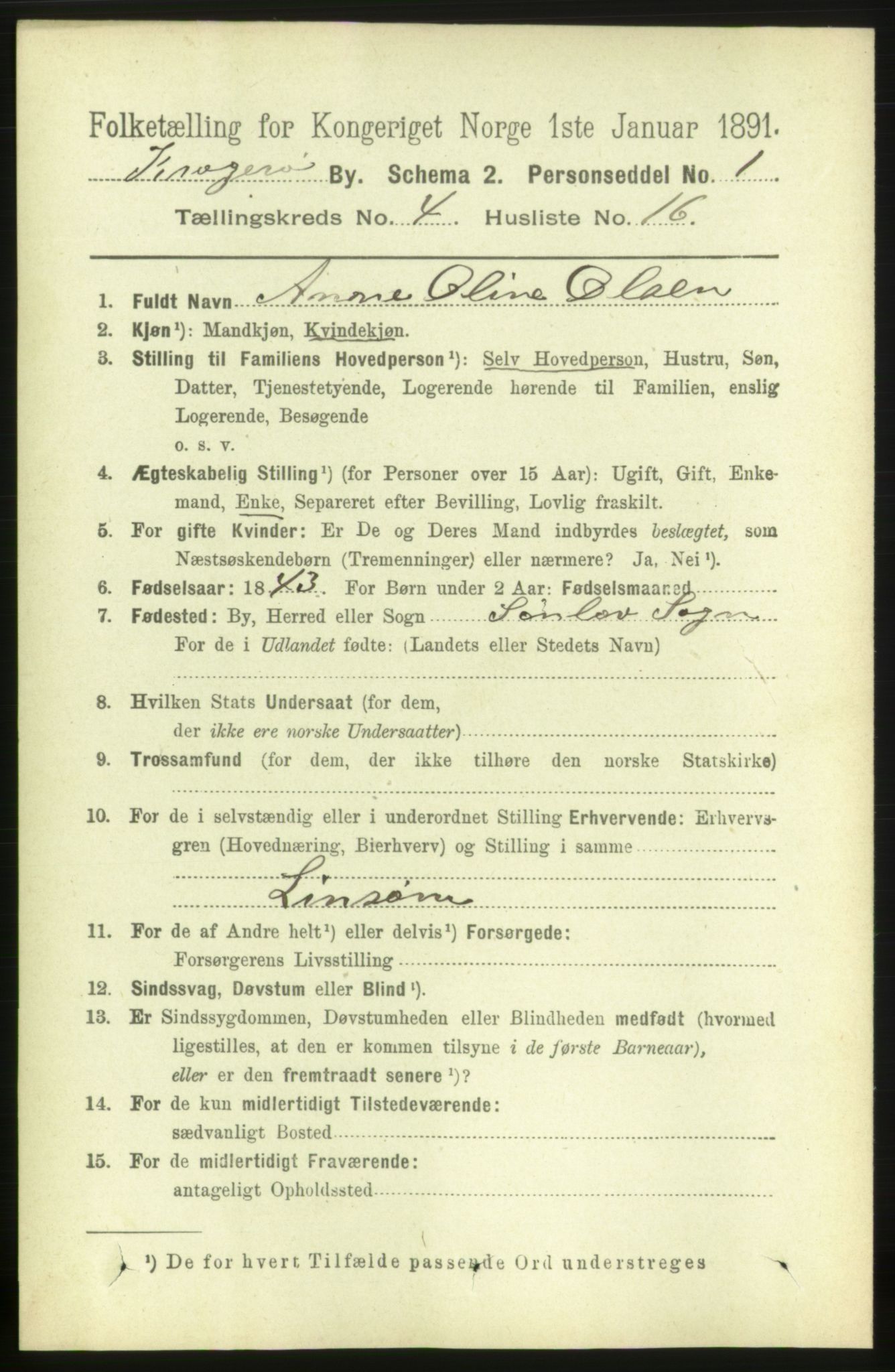RA, 1891 census for 0801 Kragerø, 1891, p. 2932