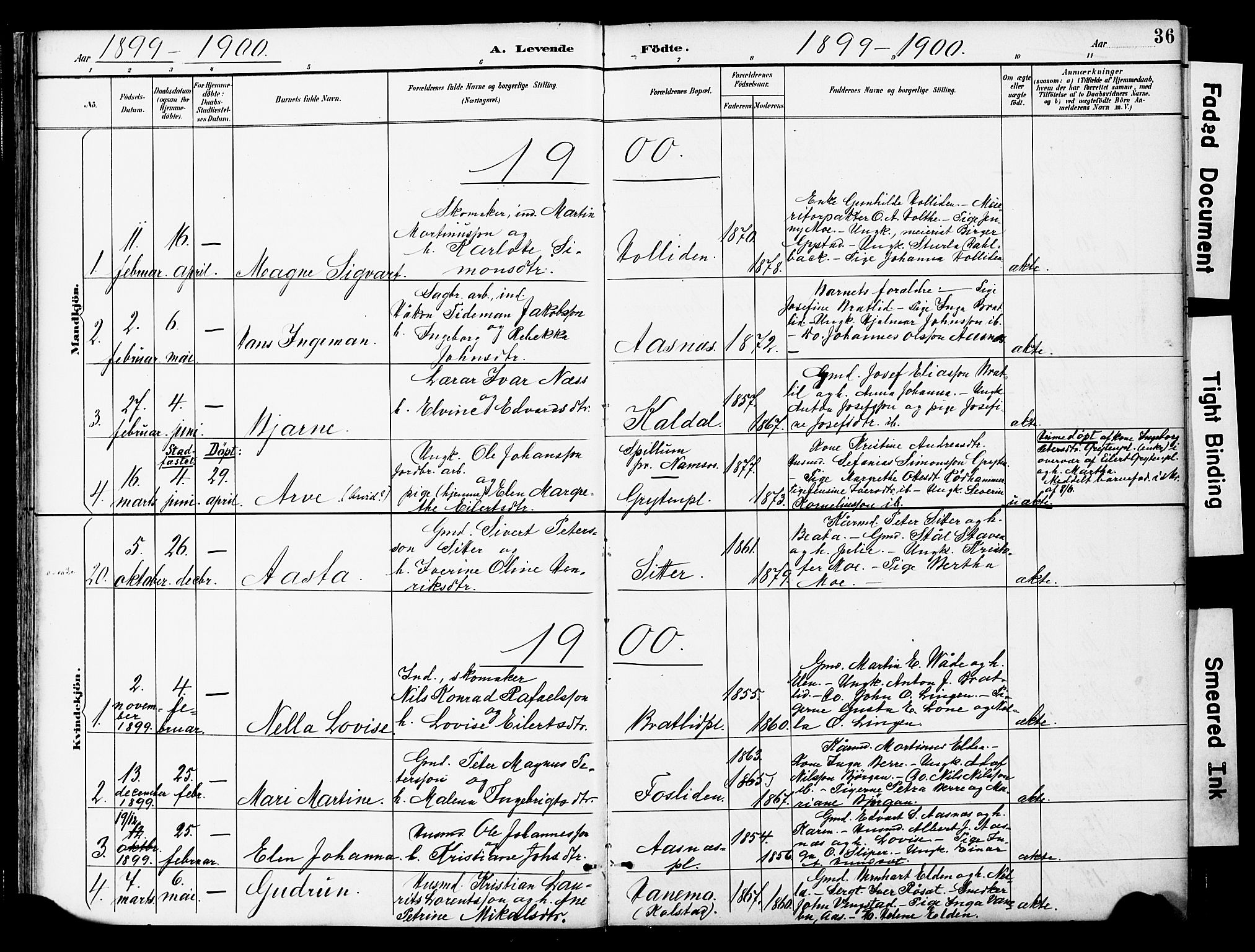 Ministerialprotokoller, klokkerbøker og fødselsregistre - Nord-Trøndelag, AV/SAT-A-1458/742/L0409: Parish register (official) no. 742A02, 1891-1905, p. 36