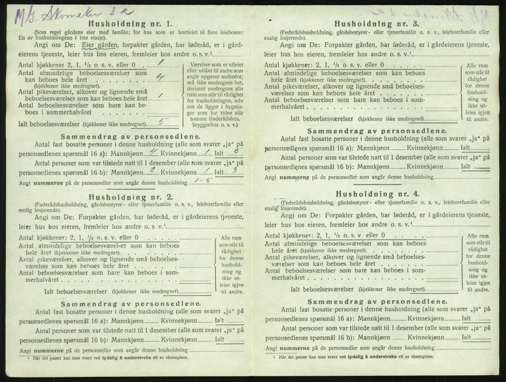 SAKO, 1920 census for Brunlanes, 1920, p. 1212