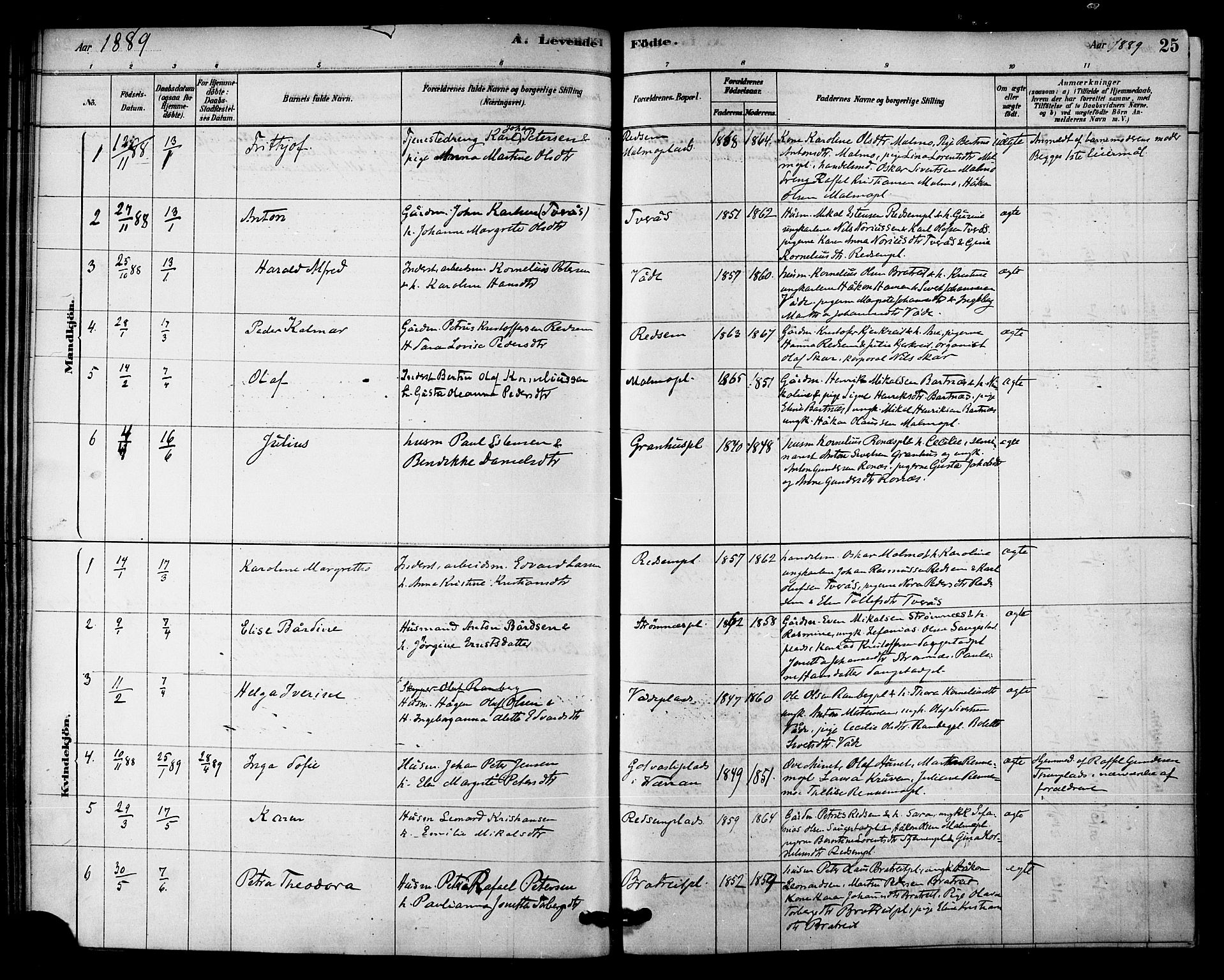 Ministerialprotokoller, klokkerbøker og fødselsregistre - Nord-Trøndelag, AV/SAT-A-1458/745/L0429: Parish register (official) no. 745A01, 1878-1894, p. 25