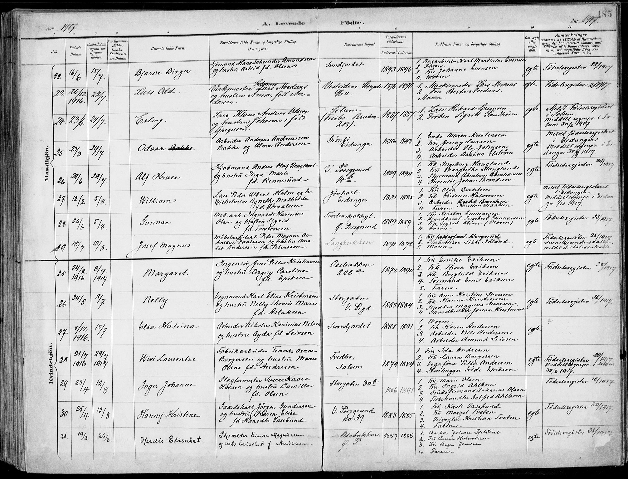 Porsgrunn kirkebøker , AV/SAKO-A-104/F/Fa/L0010: Parish register (official) no. 10, 1895-1919, p. 185