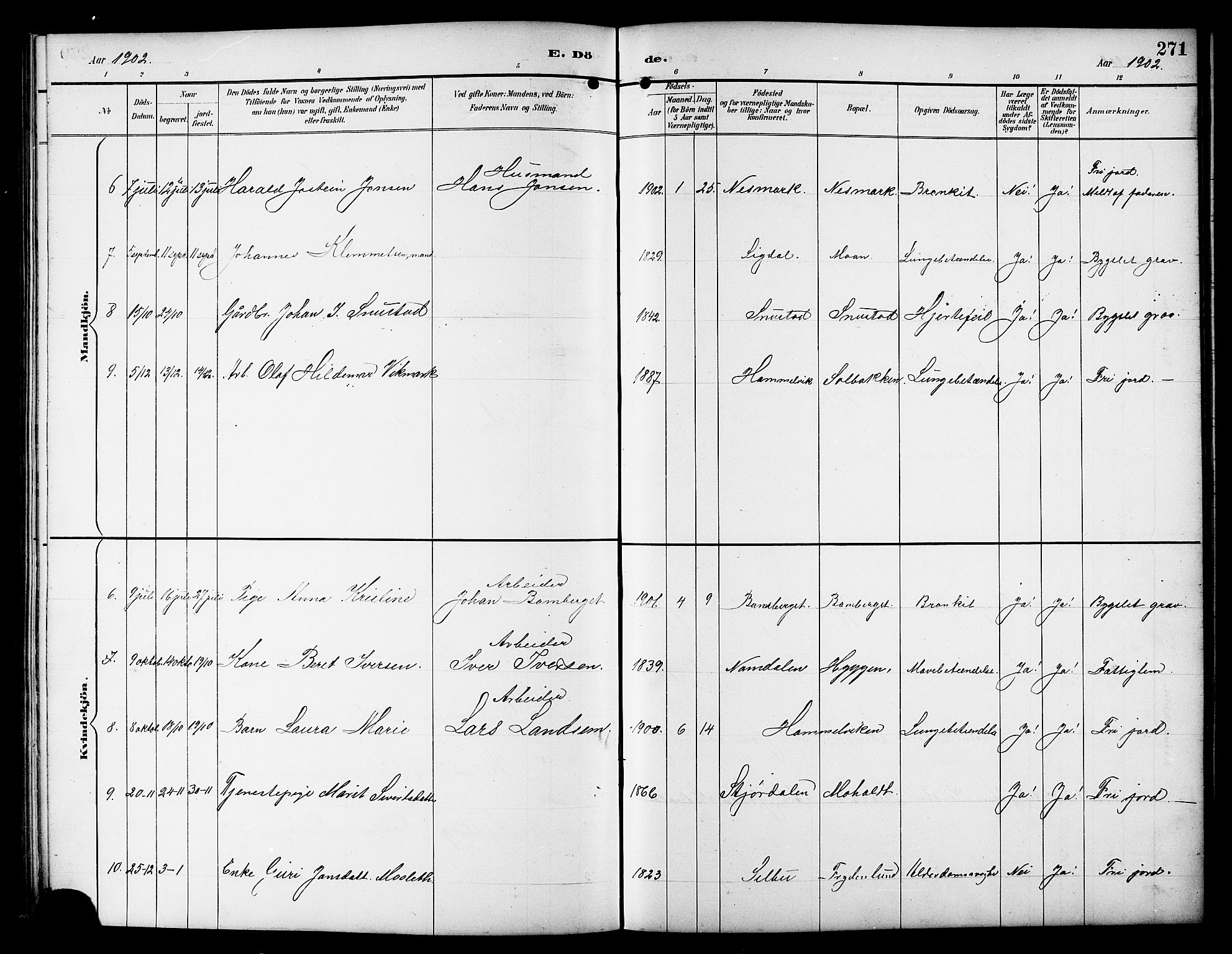 Ministerialprotokoller, klokkerbøker og fødselsregistre - Sør-Trøndelag, SAT/A-1456/617/L0431: Parish register (copy) no. 617C01, 1889-1910, p. 271