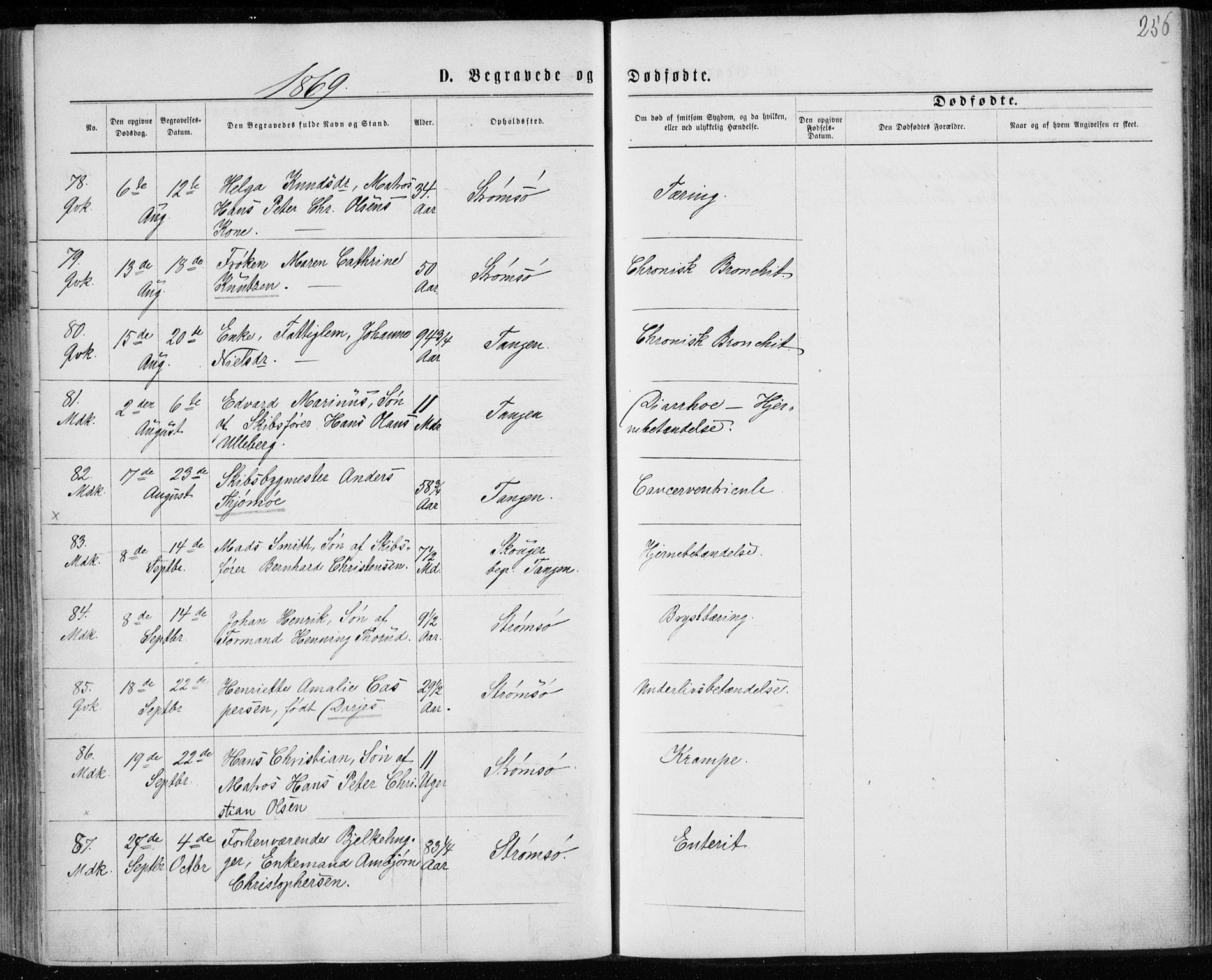 Strømsø kirkebøker, SAKO/A-246/F/Fa/L0016: Parish register (official) no. I 16, 1868-1873, p. 256