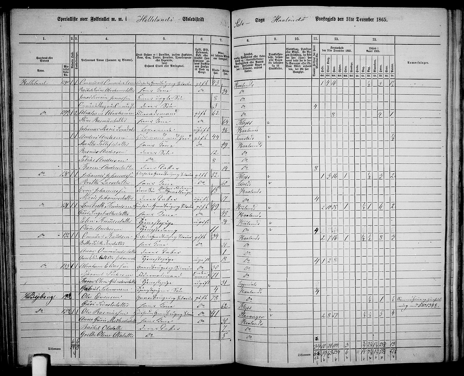 RA, 1865 census for Håland, 1865, p. 75