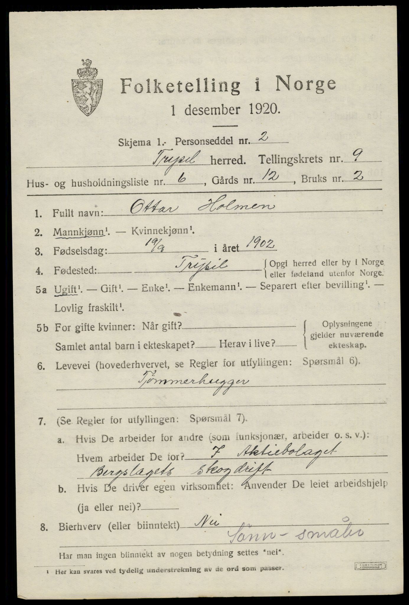 SAH, 1920 census for Trysil, 1920, p. 6613