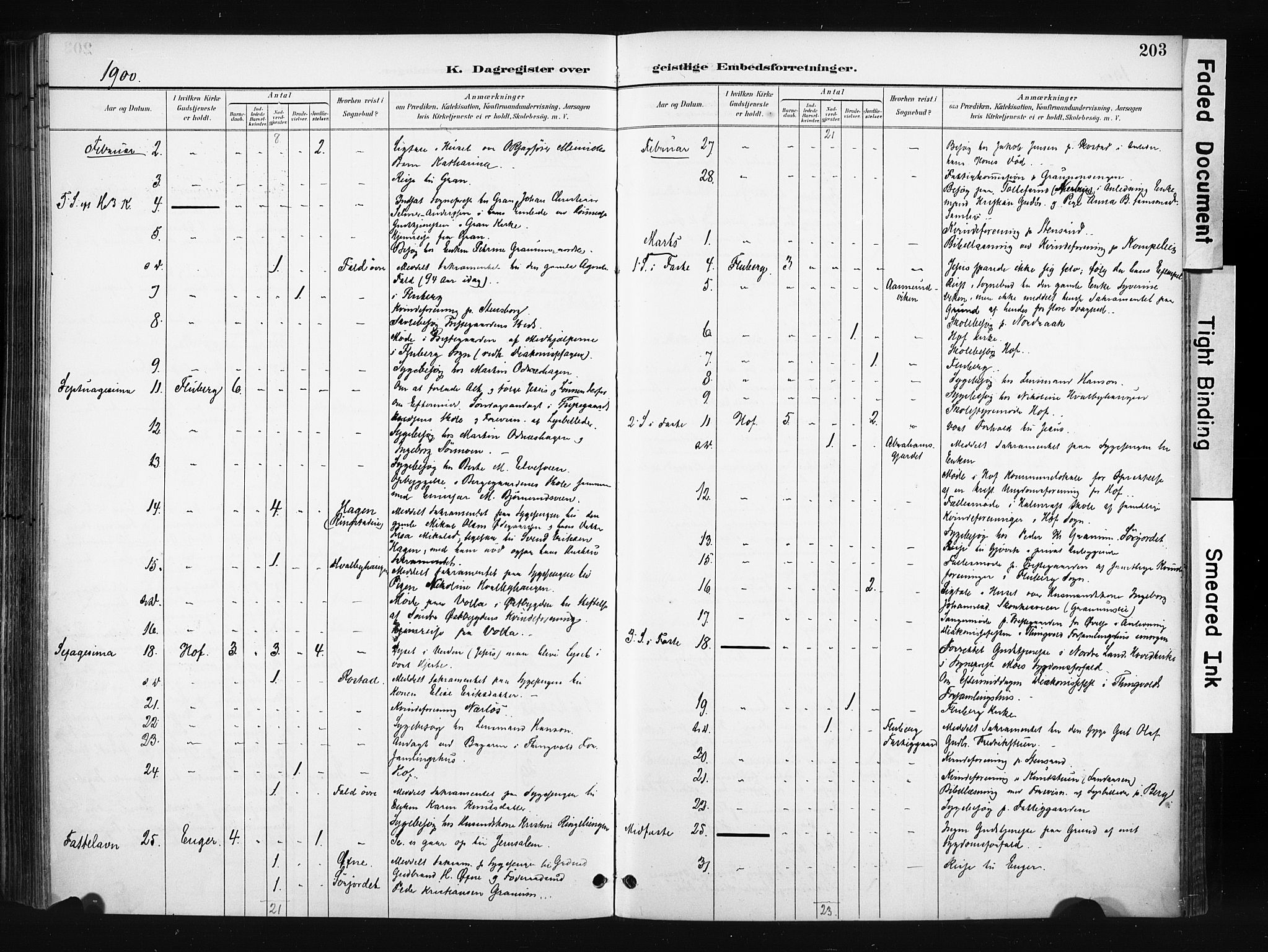 Søndre Land prestekontor, SAH/PREST-122/K/L0004: Parish register (official) no. 4, 1895-1904, p. 203