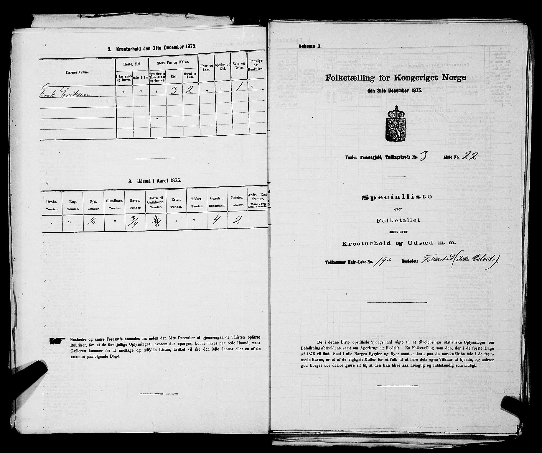 RA, 1875 census for 0137P Våler, 1875, p. 416