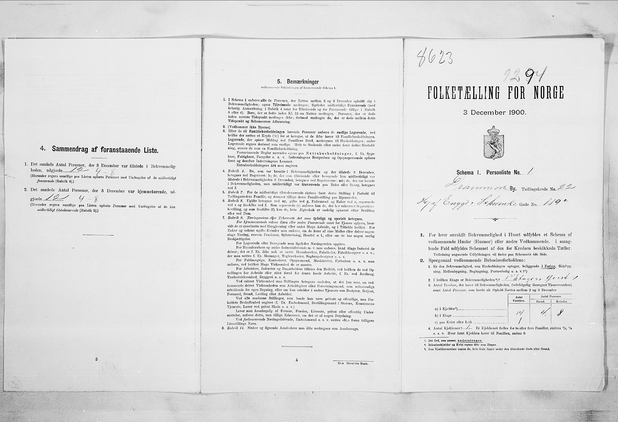 RA, 1900 census for Drammen, 1900, p. 13533