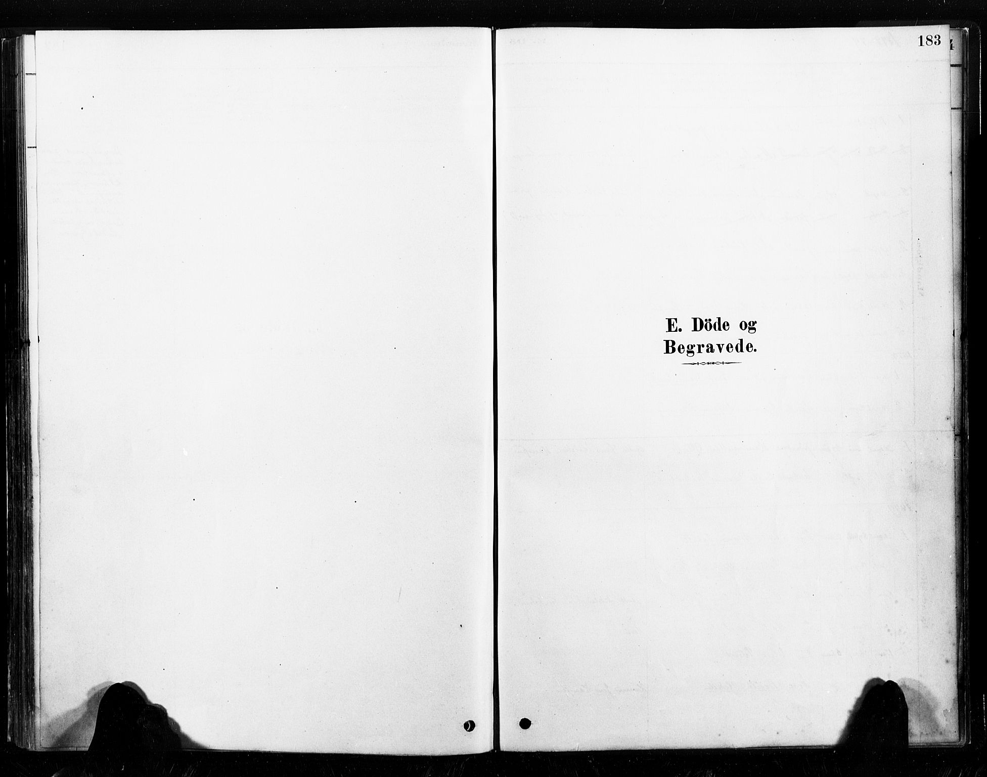 Ministerialprotokoller, klokkerbøker og fødselsregistre - Nord-Trøndelag, SAT/A-1458/789/L0705: Parish register (official) no. 789A01, 1878-1910, p. 183