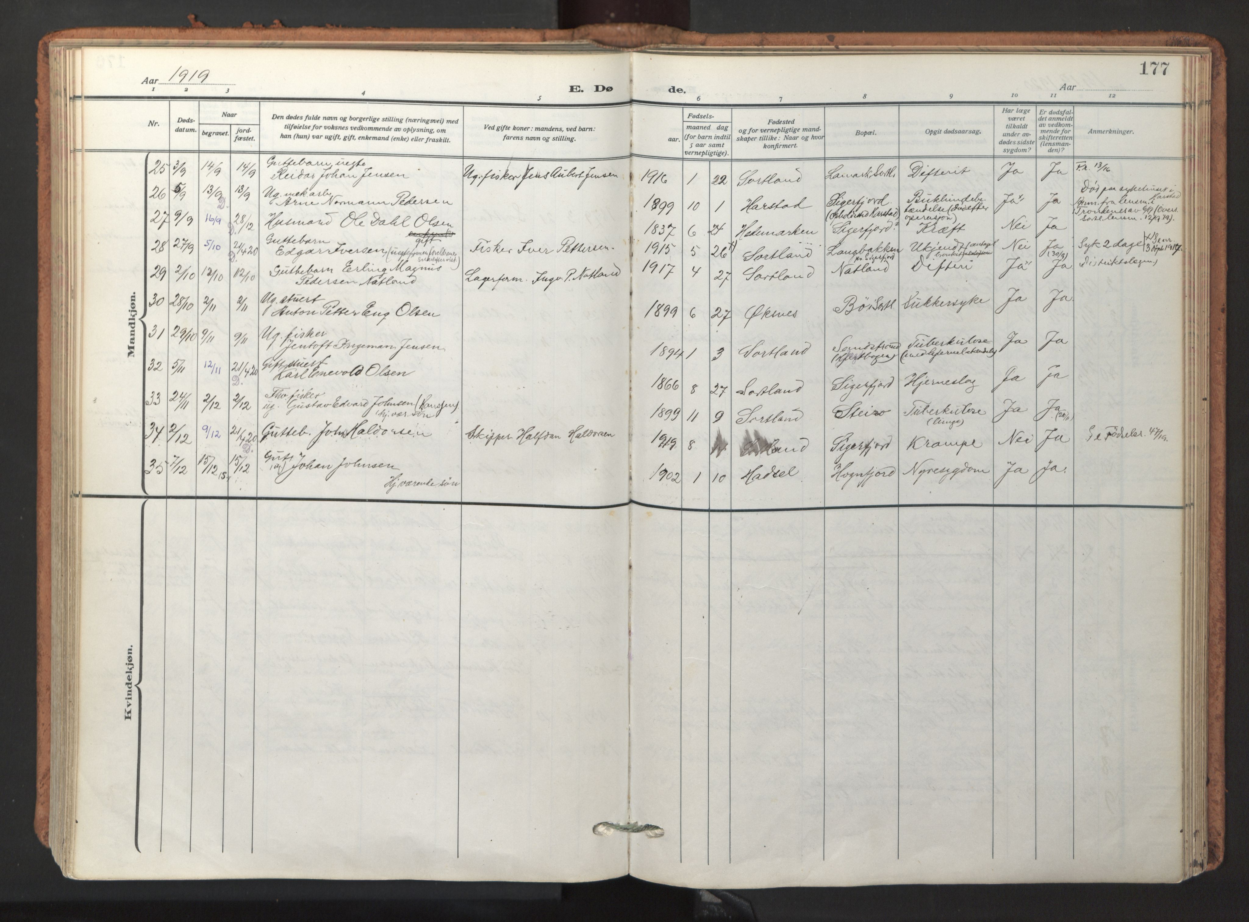 Ministerialprotokoller, klokkerbøker og fødselsregistre - Nordland, AV/SAT-A-1459/895/L1374: Parish register (official) no. 895A09, 1915-1925, p. 177