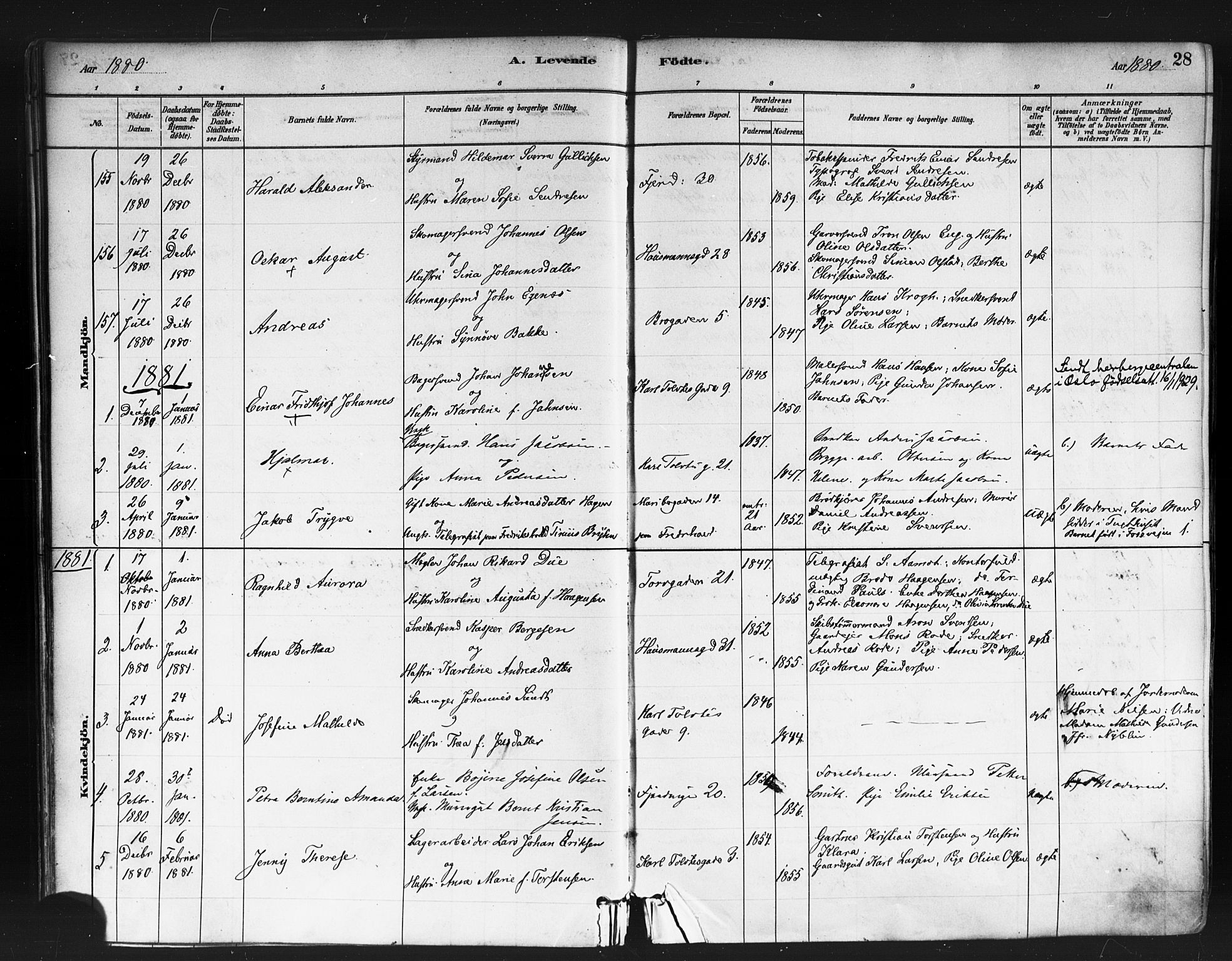 Jakob prestekontor Kirkebøker, AV/SAO-A-10850/F/Fa/L0003: Parish register (official) no. 3, 1880-1895, p. 28