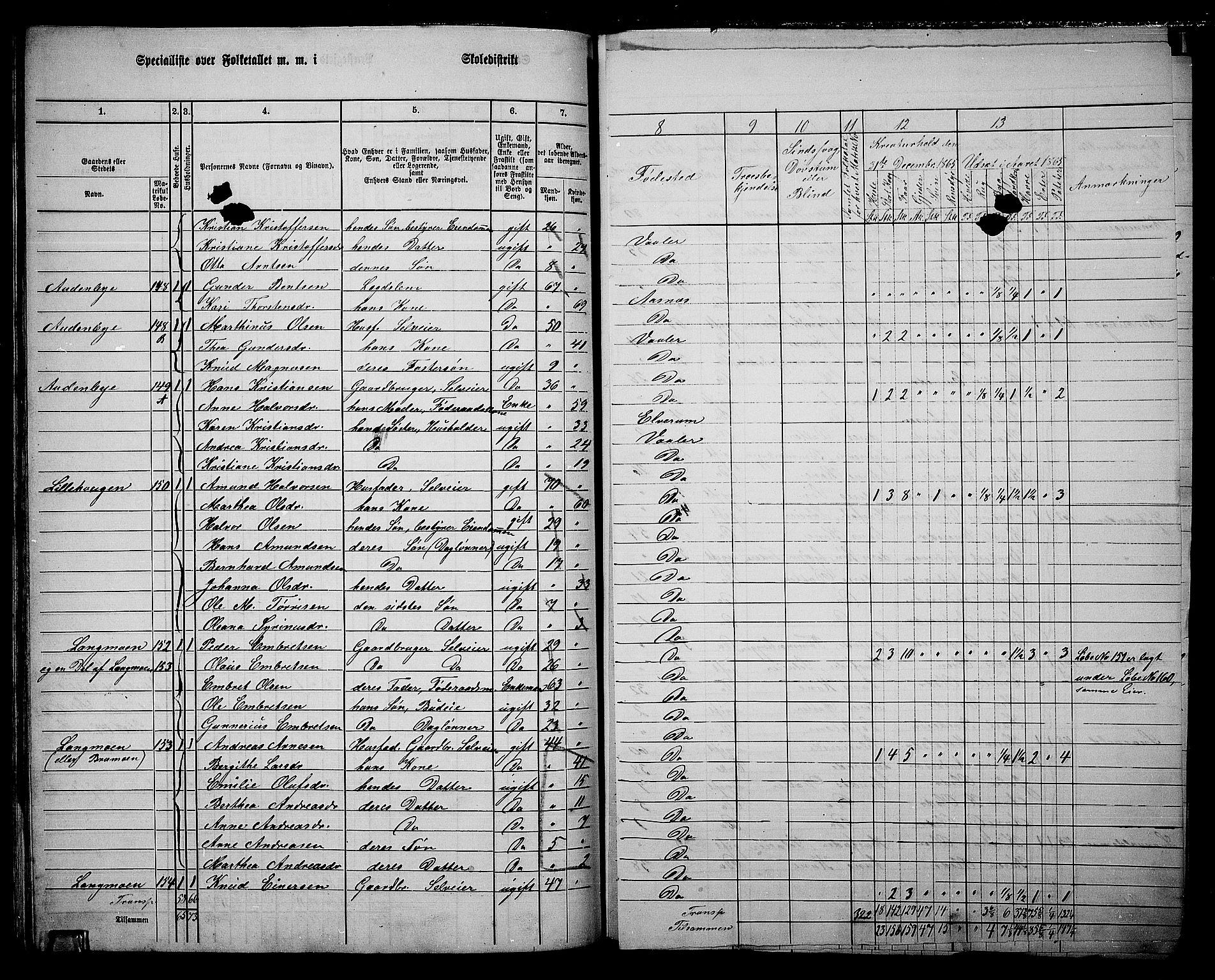 RA, 1865 census for Våler, 1865, p. 89