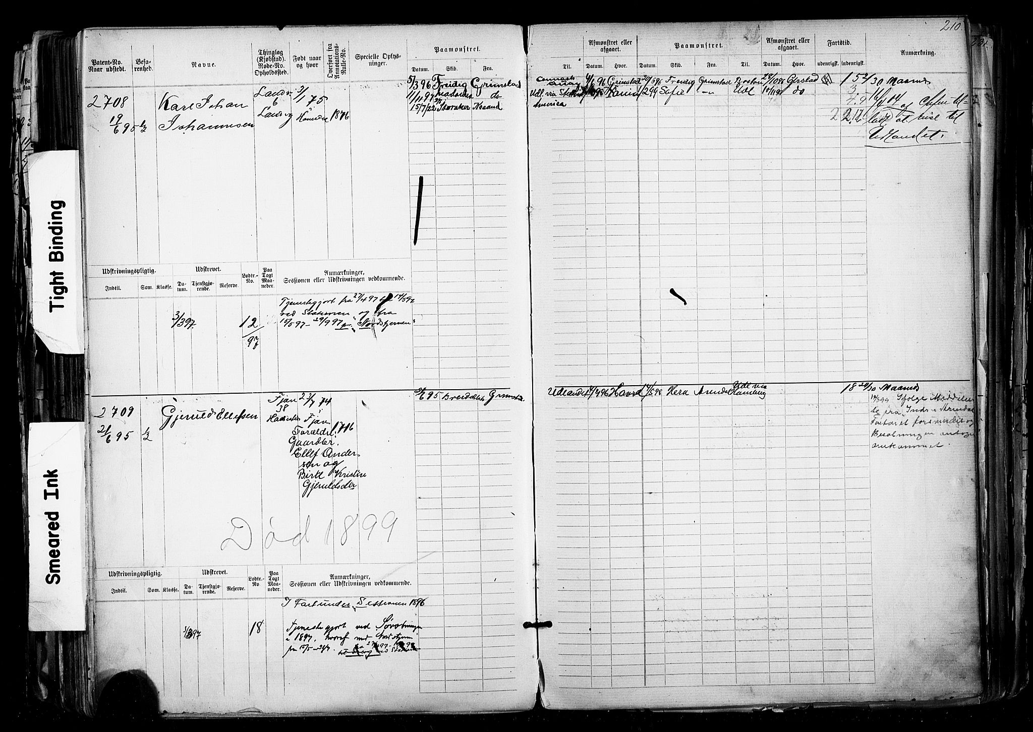 Grimstad mønstringskrets, SAK/2031-0013/F/Fb/L0012: Hovedrulle nr 2291-3051, V-25, 1889-1900, p. 225