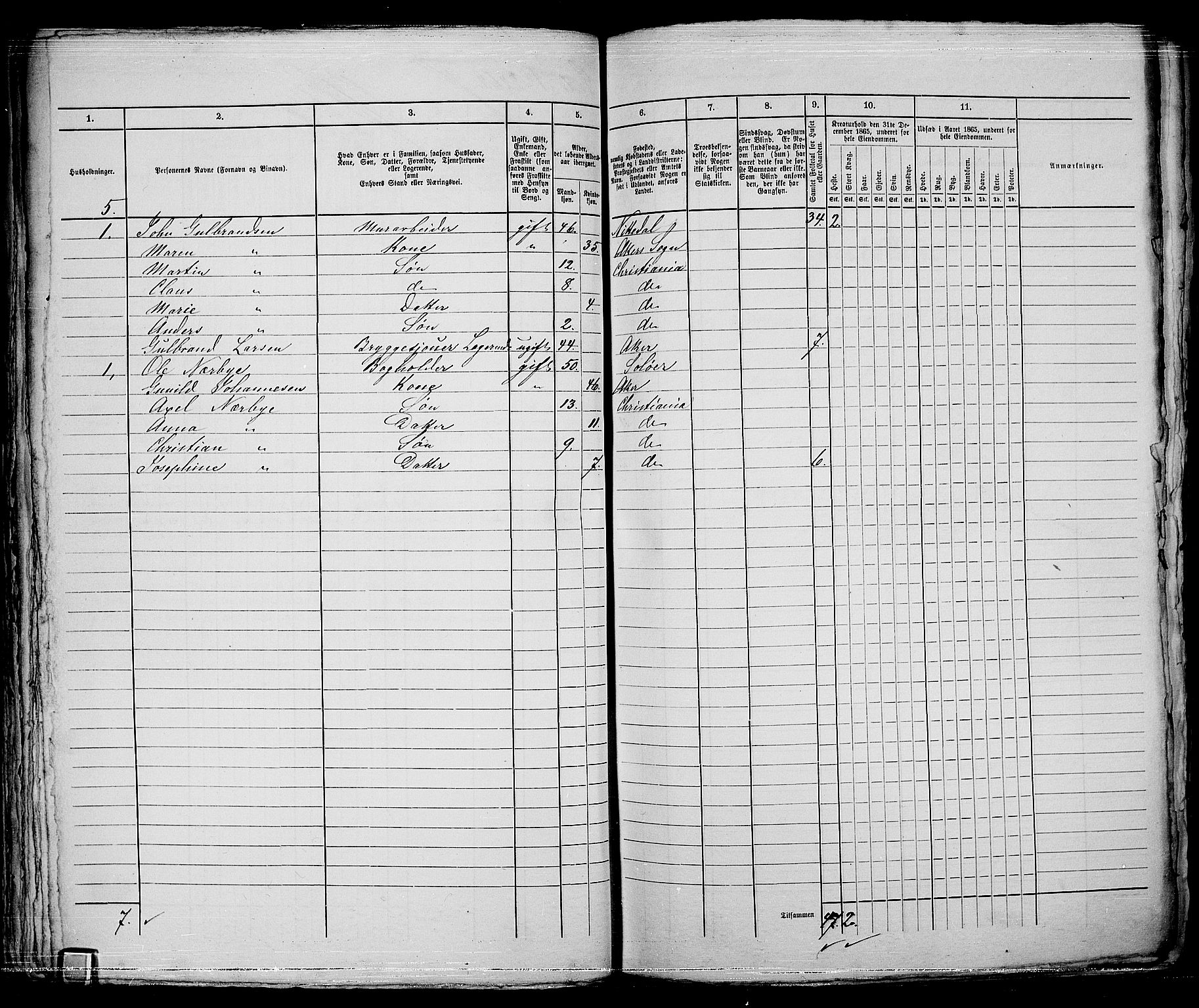 RA, 1865 census for Kristiania, 1865, p. 5040