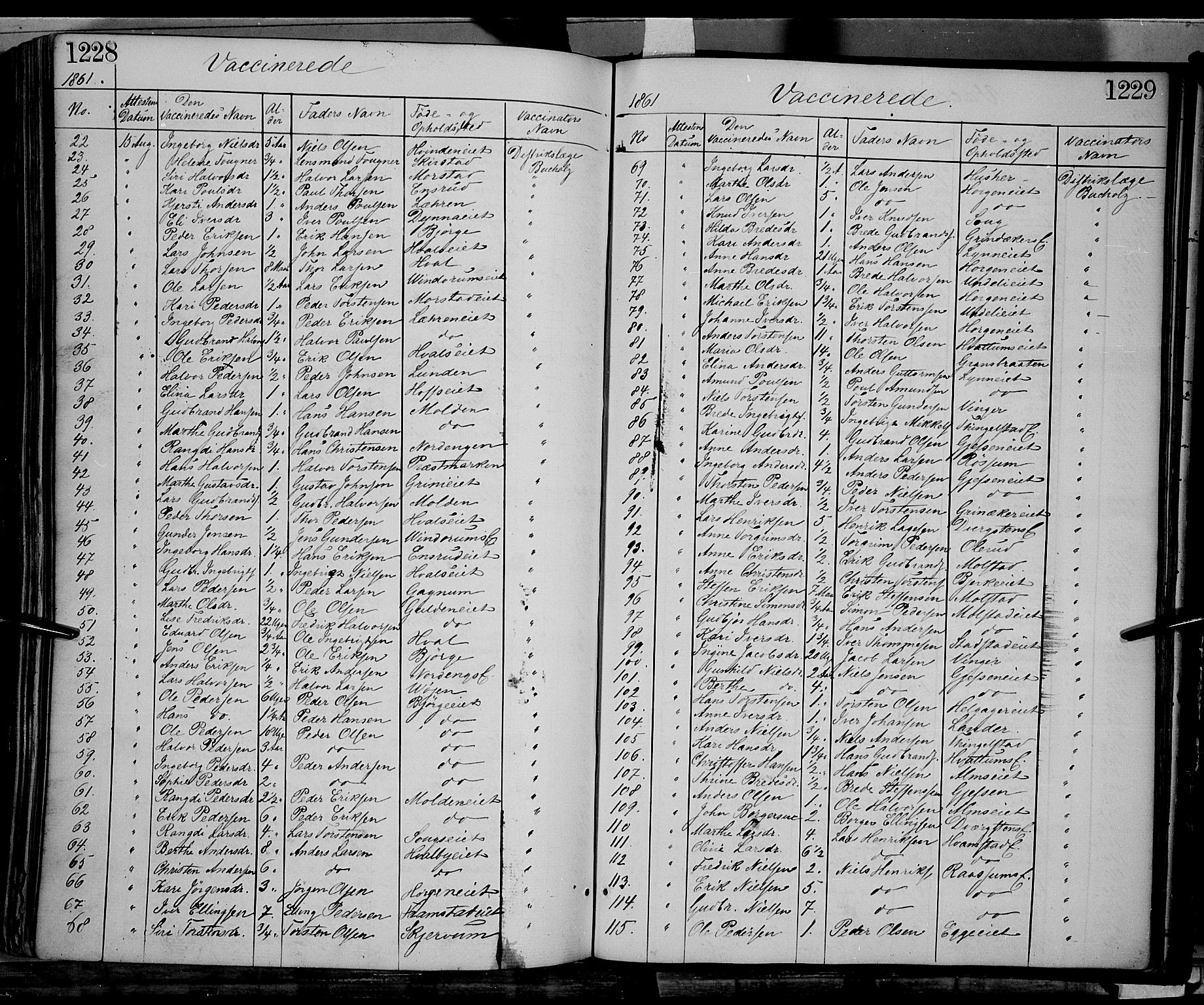 Gran prestekontor, SAH/PREST-112/H/Ha/Haa/L0012: Parish register (official) no. 12, 1856-1874, p. 1228-1229