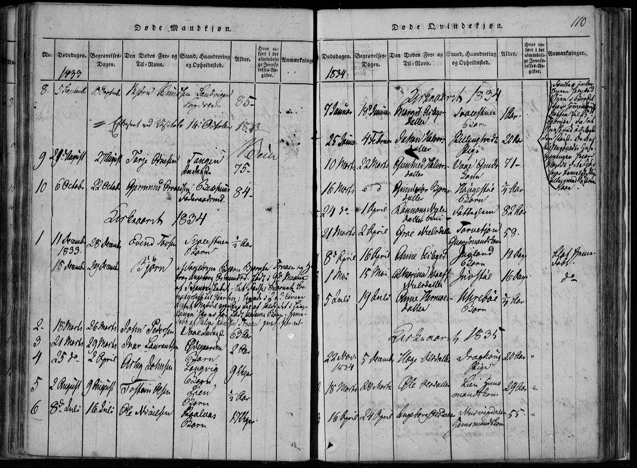 Rauland kirkebøker, SAKO/A-292/F/Fa/L0001: Parish register (official) no. 1, 1814-1859, p. 110