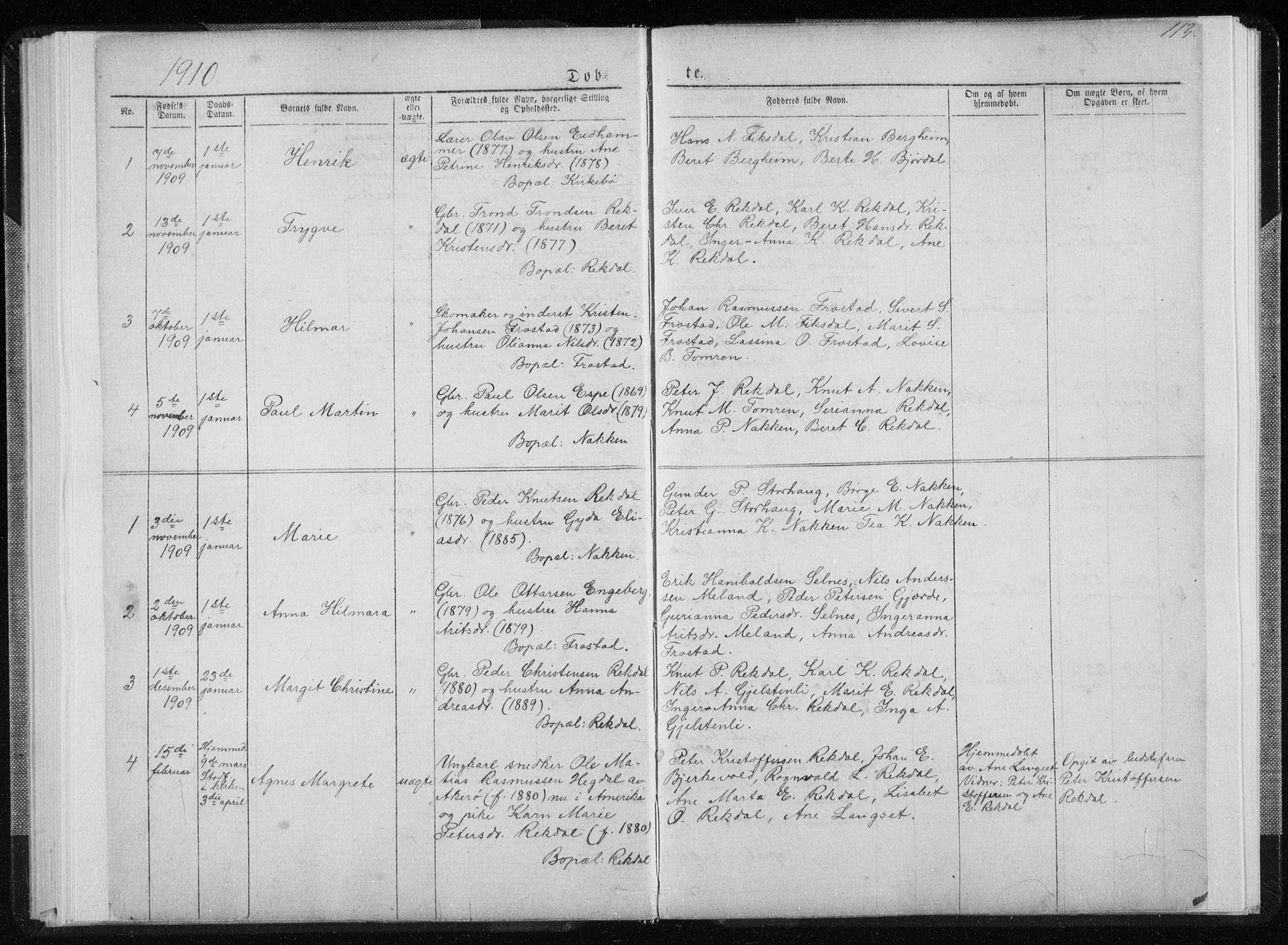 Ministerialprotokoller, klokkerbøker og fødselsregistre - Møre og Romsdal, SAT/A-1454/540/L0541: Parish register (copy) no. 540C01, 1867-1920, p. 113