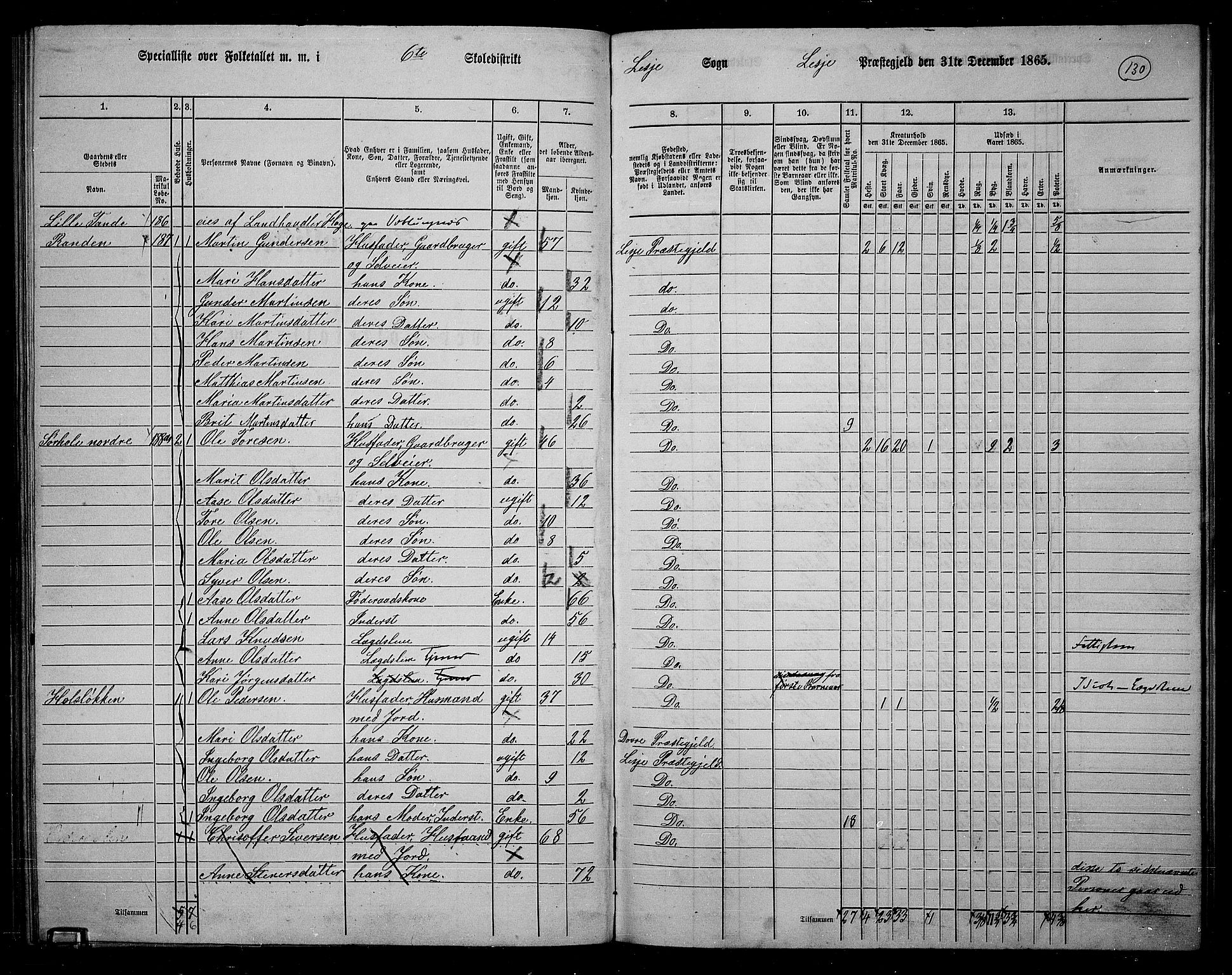 RA, 1865 census for Lesja, 1865, p. 117