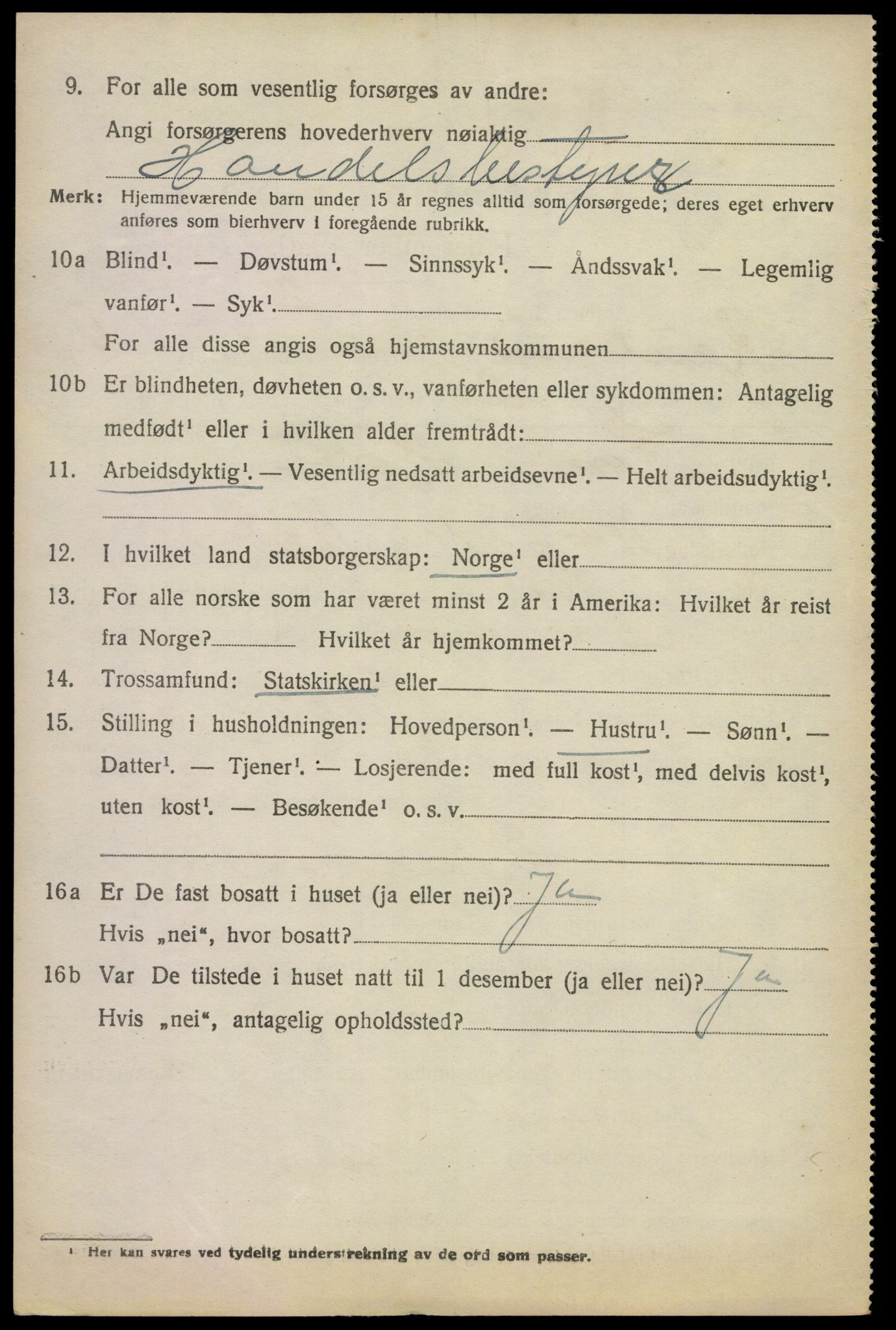 SAKO, 1920 census for Rauland, 1920, p. 1005