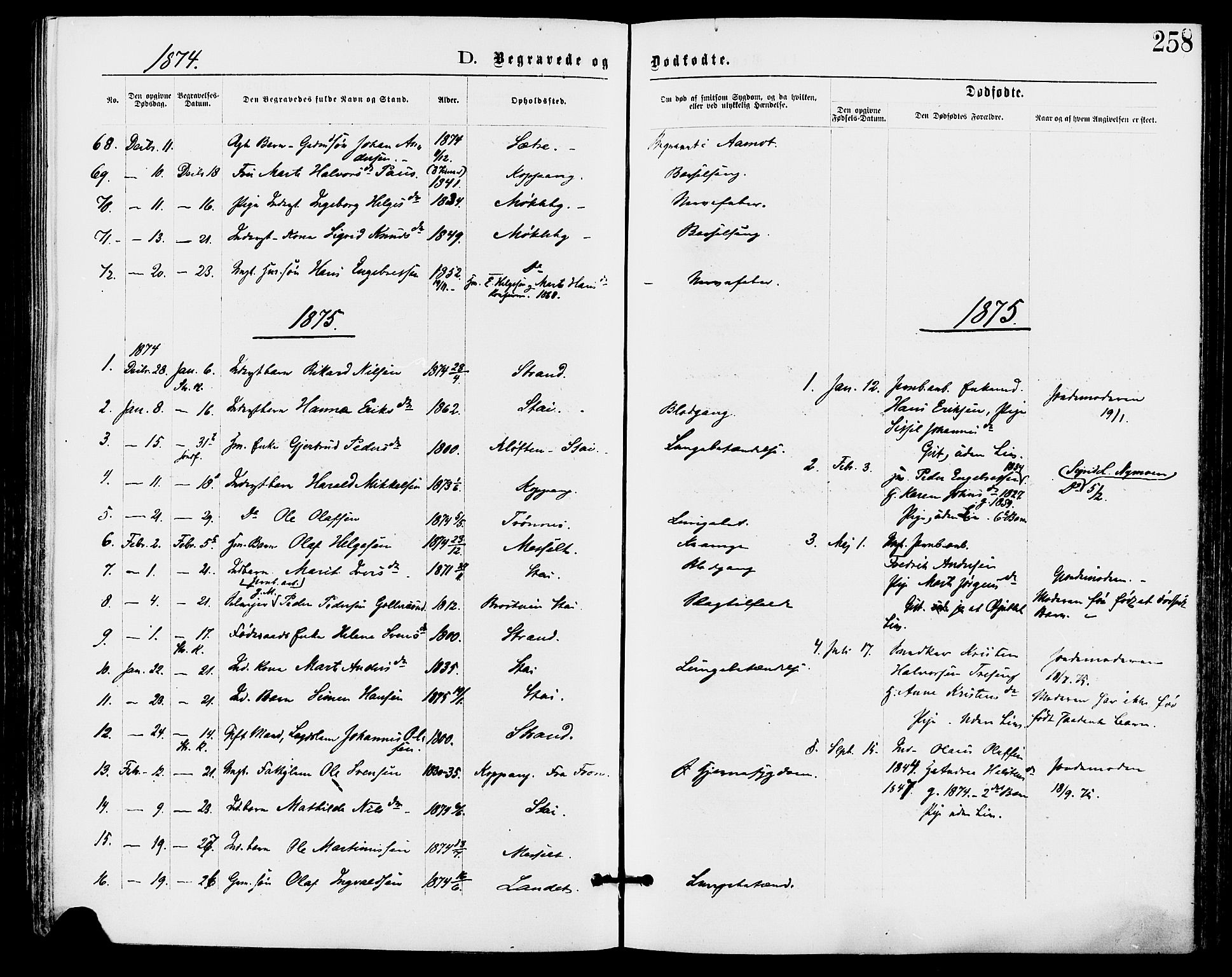 Stor-Elvdal prestekontor, SAH/PREST-052/H/Ha/Haa/L0001: Parish register (official) no. 1, 1871-1882, p. 258