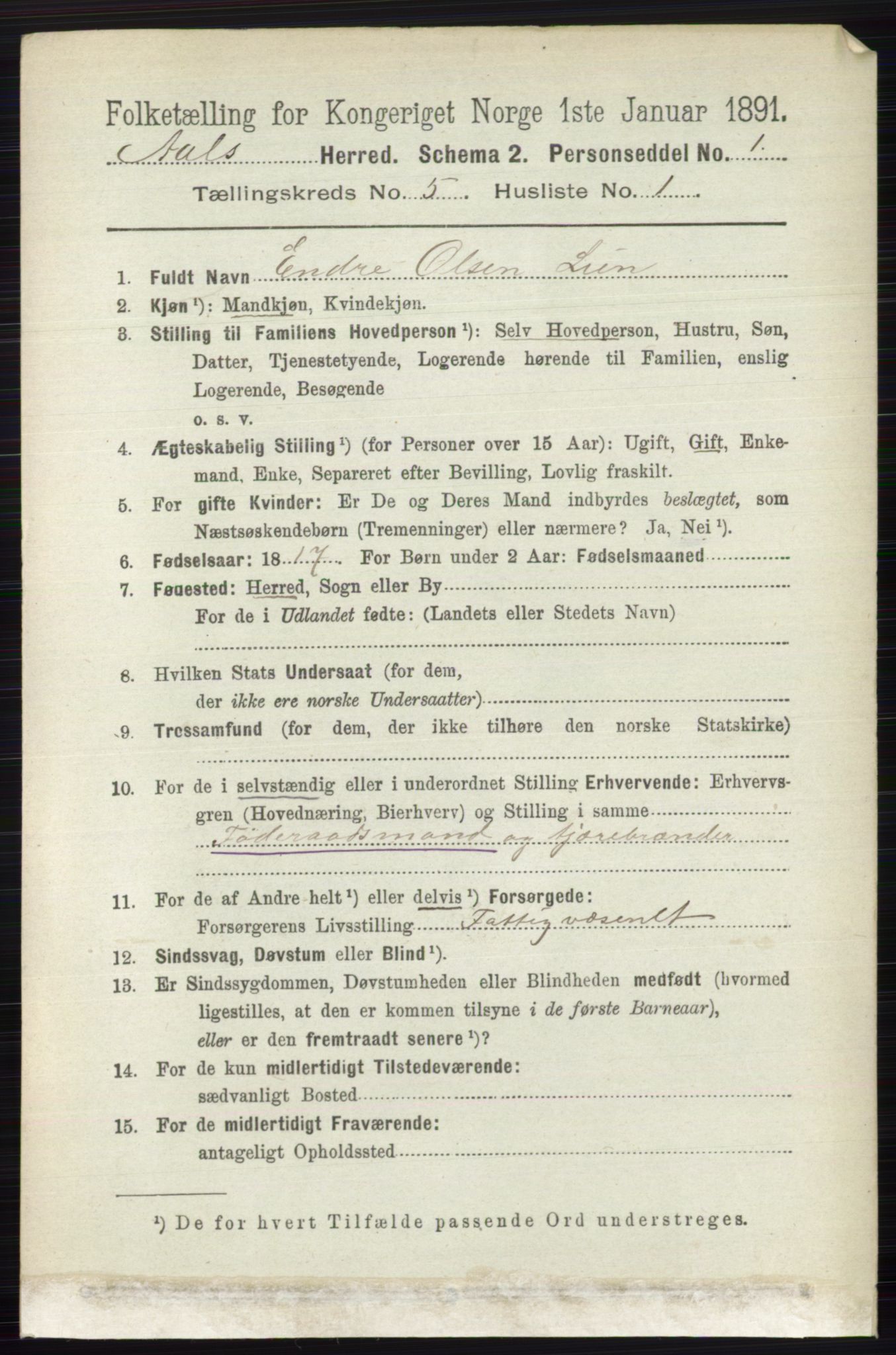 RA, 1891 census for 0619 Ål, 1891, p. 1361