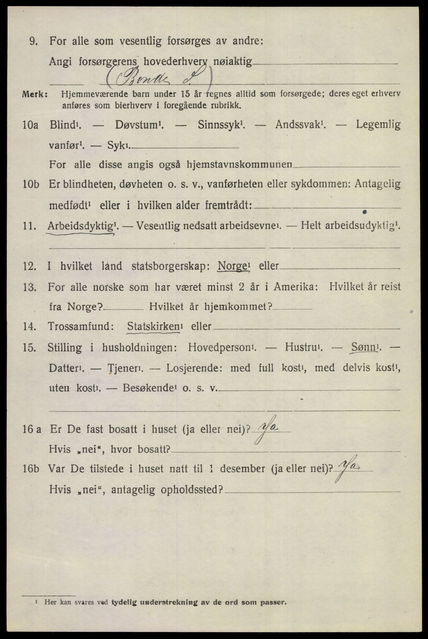 SAKO, 1920 census for Ål, 1920, p. 4805