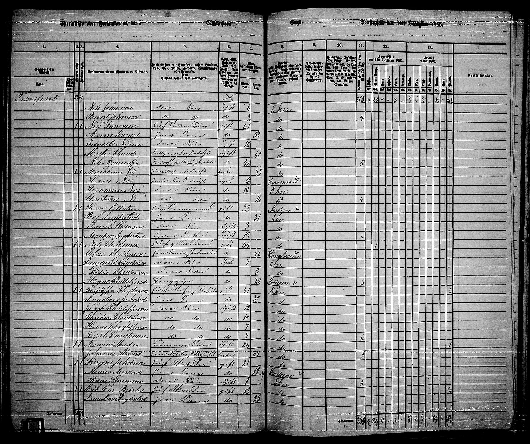 RA, 1865 census for Eiker, 1865, p. 207
