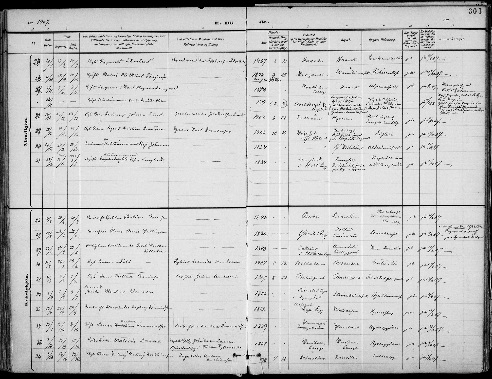 Barbu sokneprestkontor, AV/SAK-1111-0003/F/Fa/L0005: Parish register (official) no. A 5, 1899-1909, p. 303