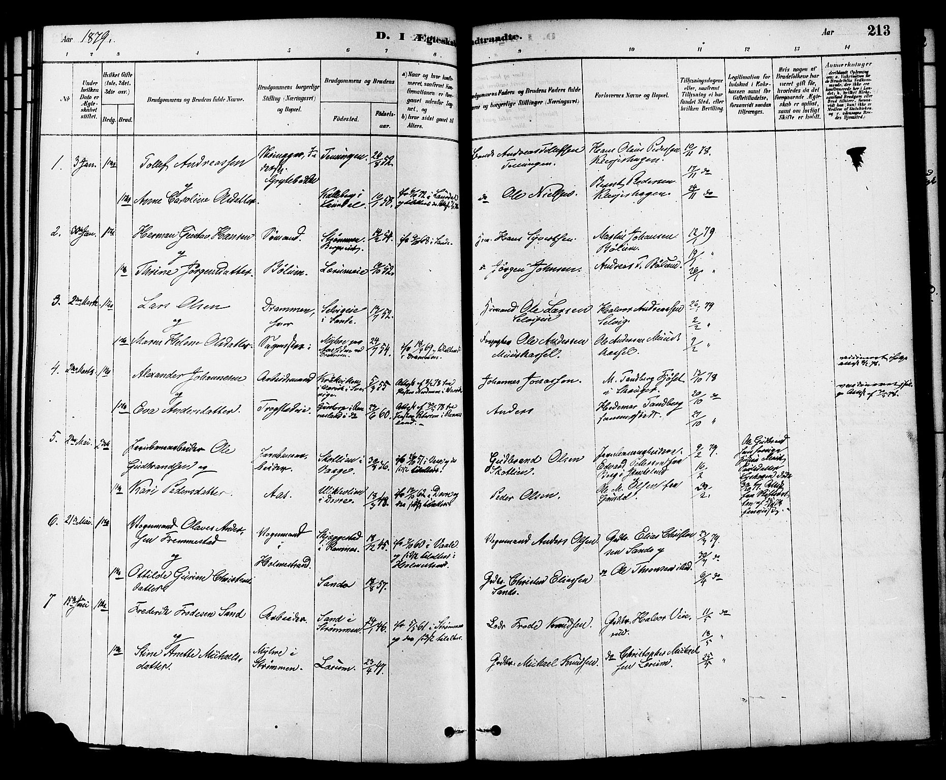 Sande Kirkebøker, AV/SAKO-A-53/F/Fa/L0006: Parish register (official) no. 6, 1878-1888, p. 213