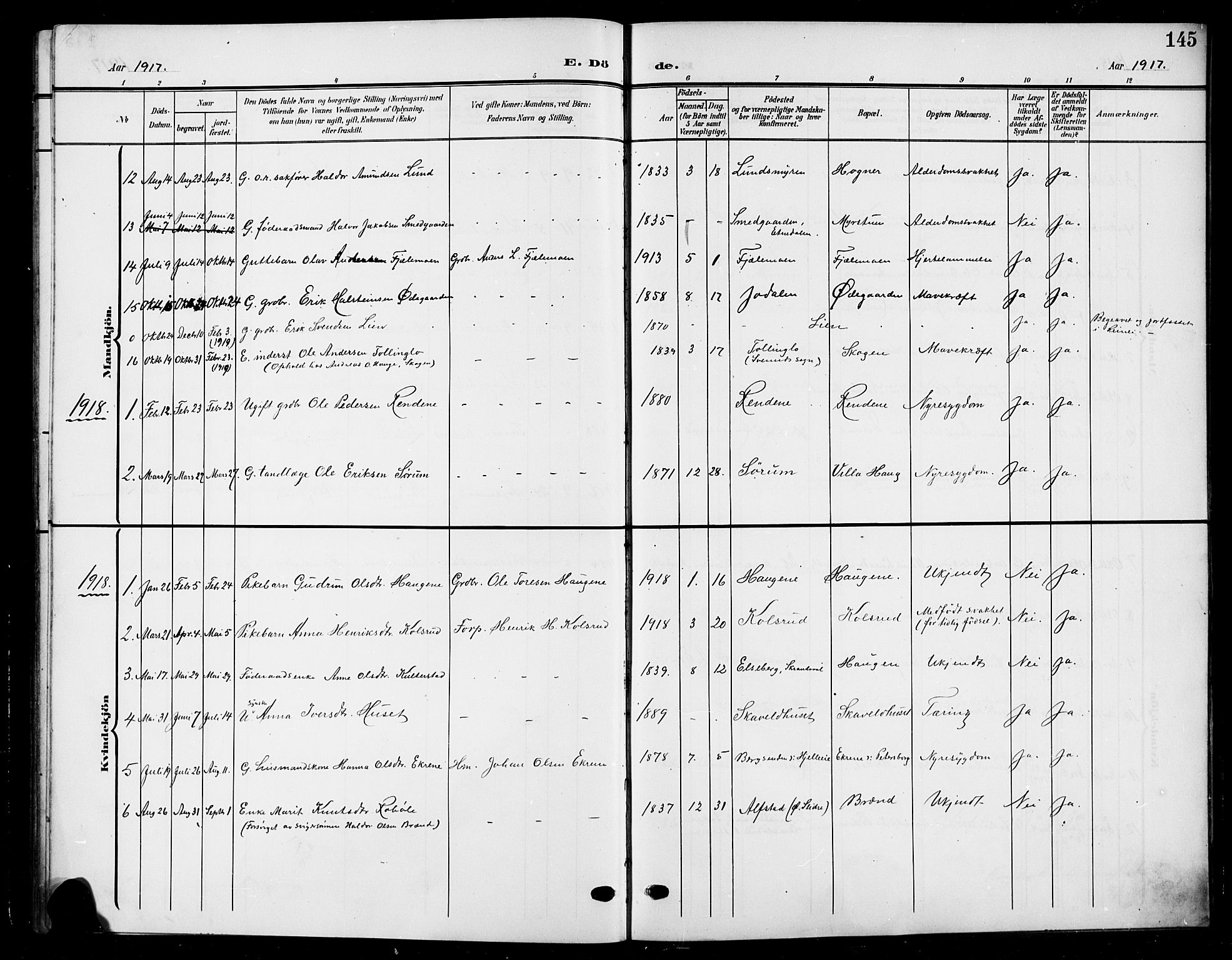 Nord-Aurdal prestekontor, SAH/PREST-132/H/Ha/Hab/L0012: Parish register (copy) no. 12, 1907-1920, p. 145