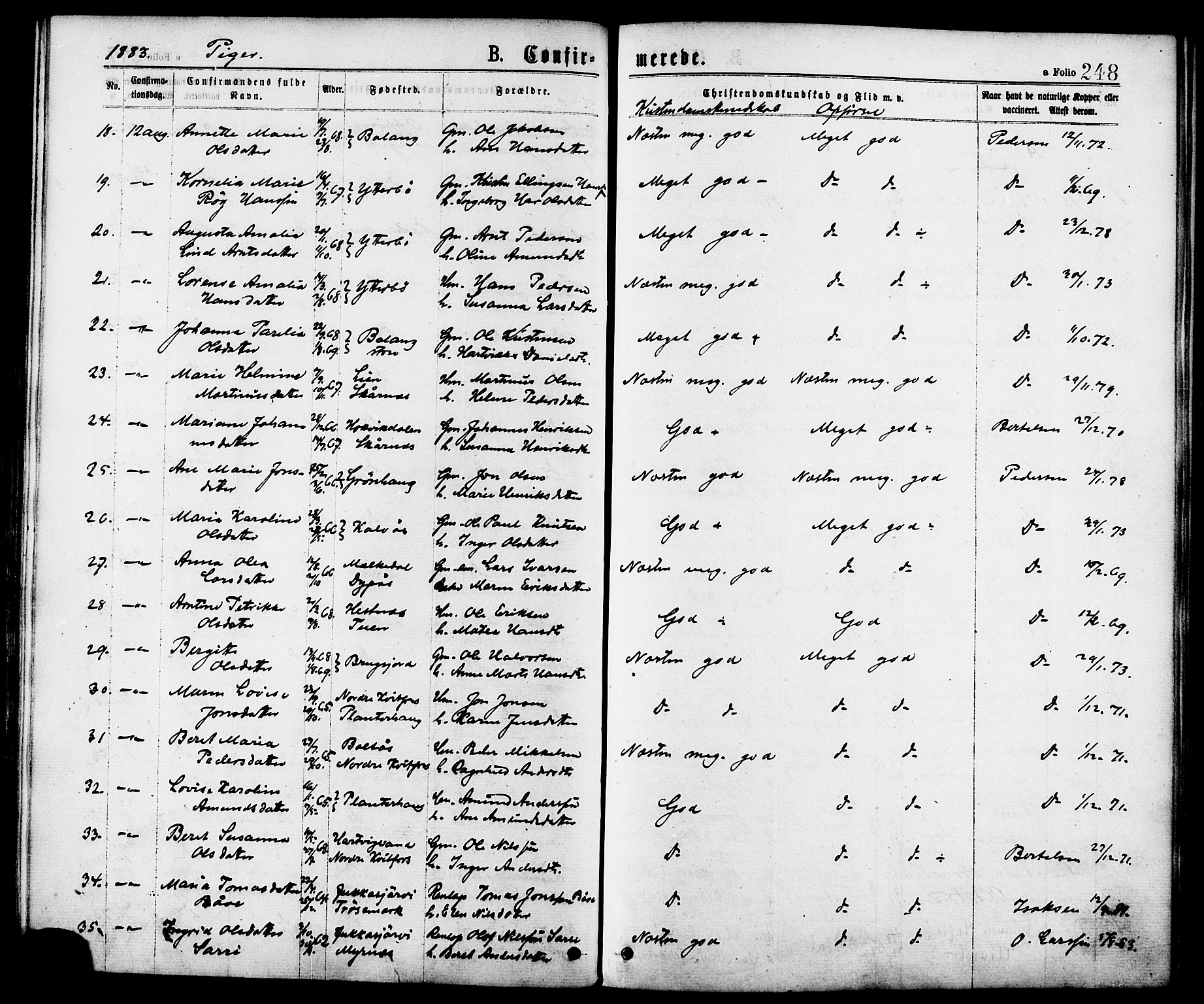 Ministerialprotokoller, klokkerbøker og fødselsregistre - Nordland, AV/SAT-A-1459/863/L0897: Parish register (official) no. 863A09, 1872-1886, p. 248