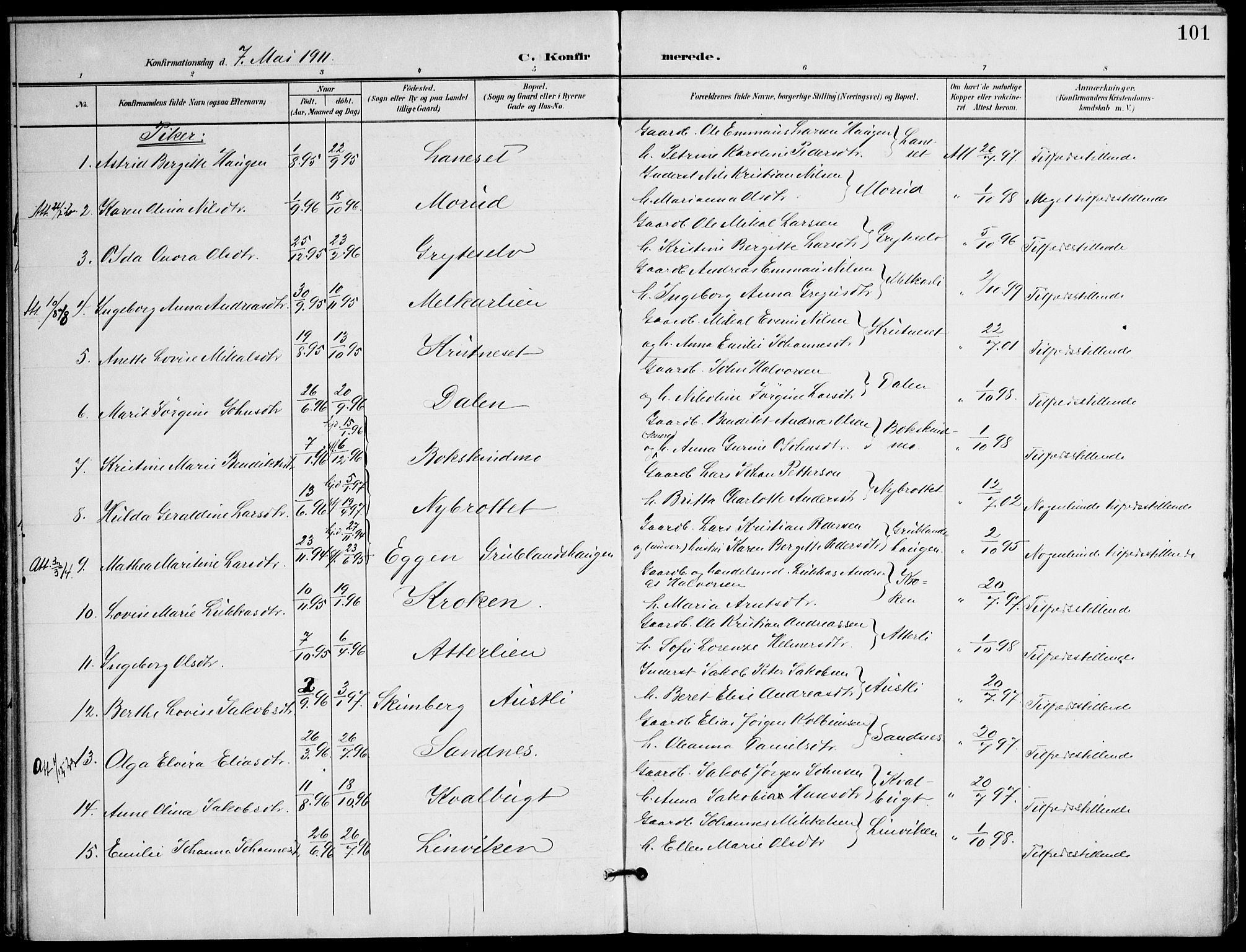 Ministerialprotokoller, klokkerbøker og fødselsregistre - Nordland, AV/SAT-A-1459/823/L0326: Parish register (official) no. 823A03, 1899-1919, p. 101