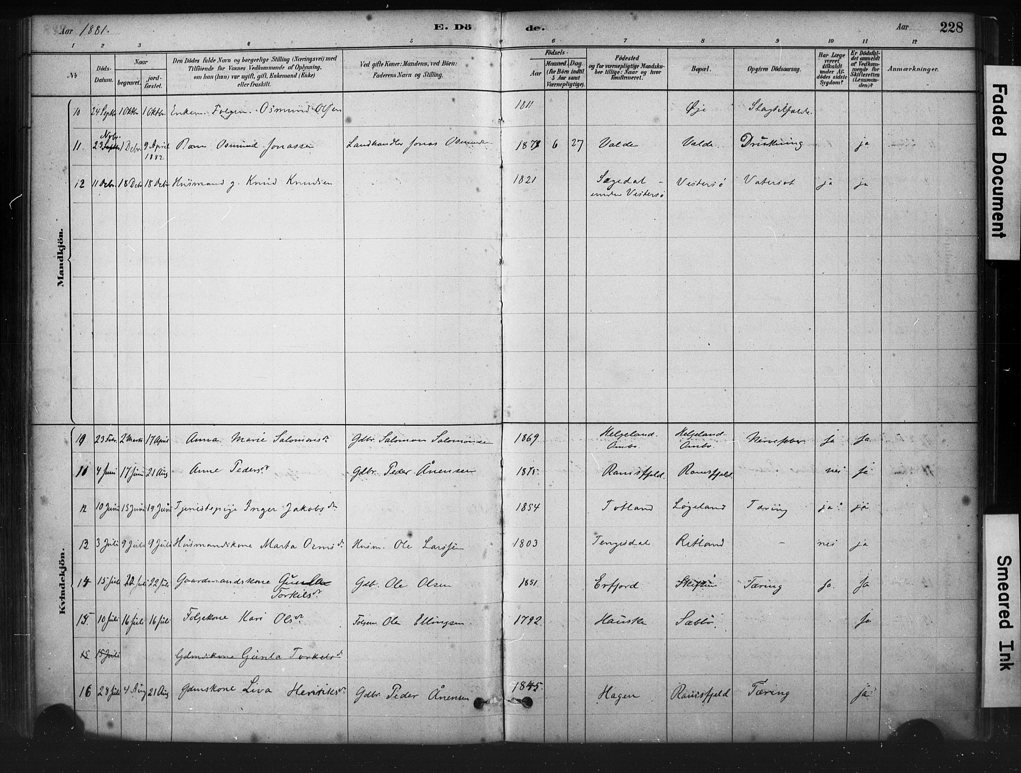 Hjelmeland sokneprestkontor, AV/SAST-A-101843/01/IV/L0014: Parish register (official) no. A 14, 1879-1900, p. 228