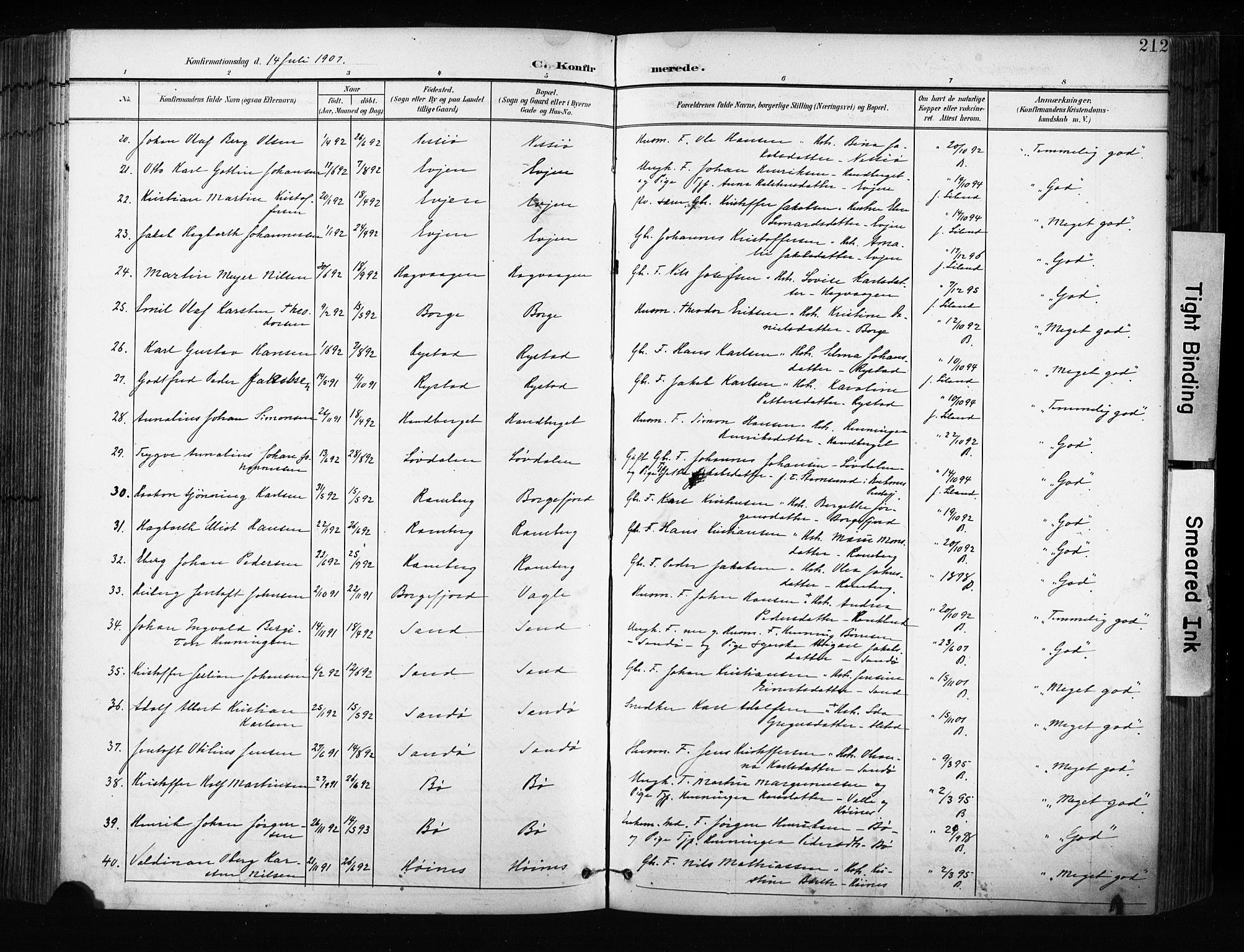 Ministerialprotokoller, klokkerbøker og fødselsregistre - Nordland, AV/SAT-A-1459/880/L1134: Parish register (official) no. 880A08, 1899-1908, p. 212