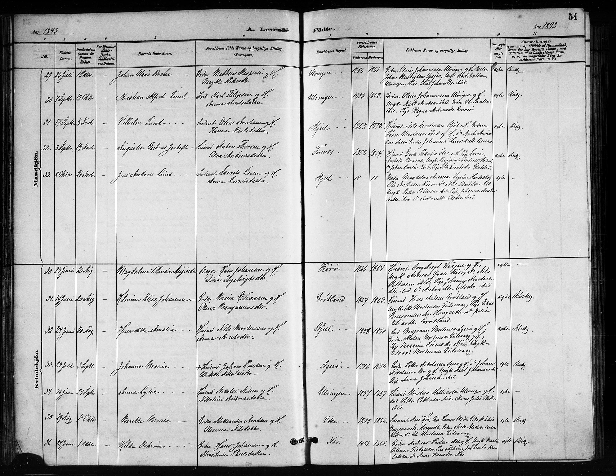 Ministerialprotokoller, klokkerbøker og fødselsregistre - Nordland, AV/SAT-A-1459/816/L0253: Parish register (copy) no. 816C03, 1886-1905, p. 54