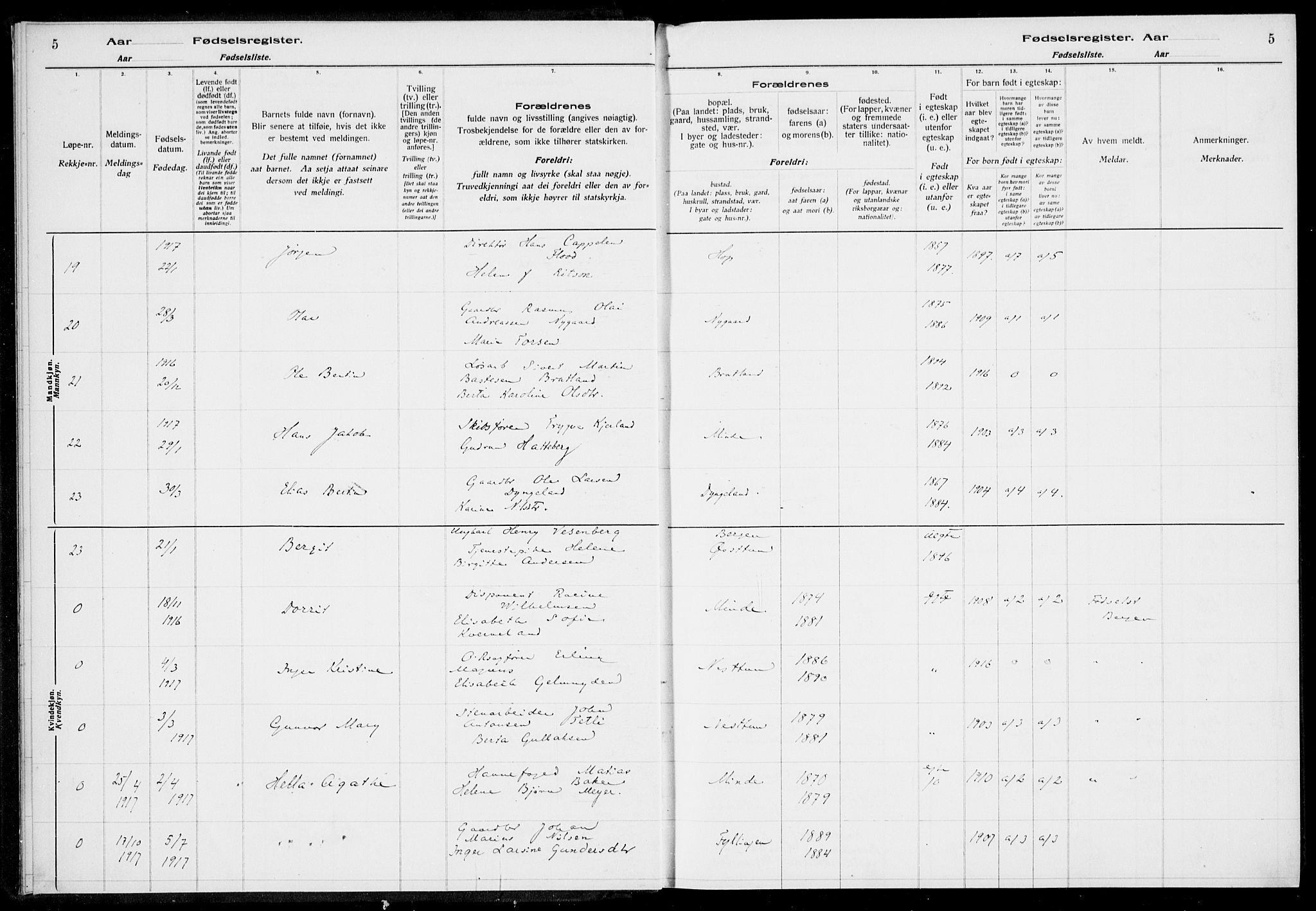 Birkeland Sokneprestembete, AV/SAB-A-74601/I/Id/L00A1: Birth register no. A 1, 1916-1926, p. 5