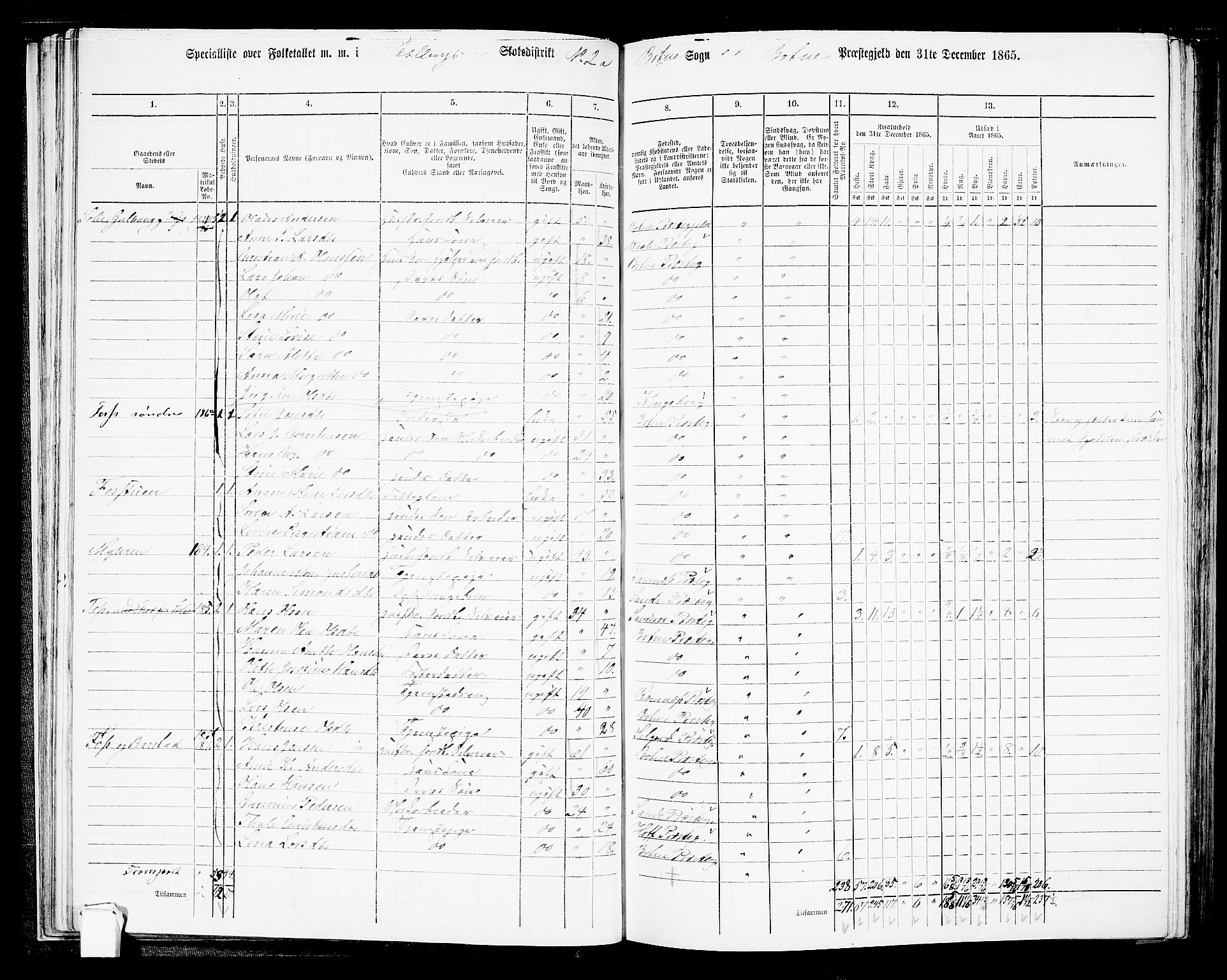 RA, 1865 census for Botne/Botne og Hillestad, 1865, p. 41