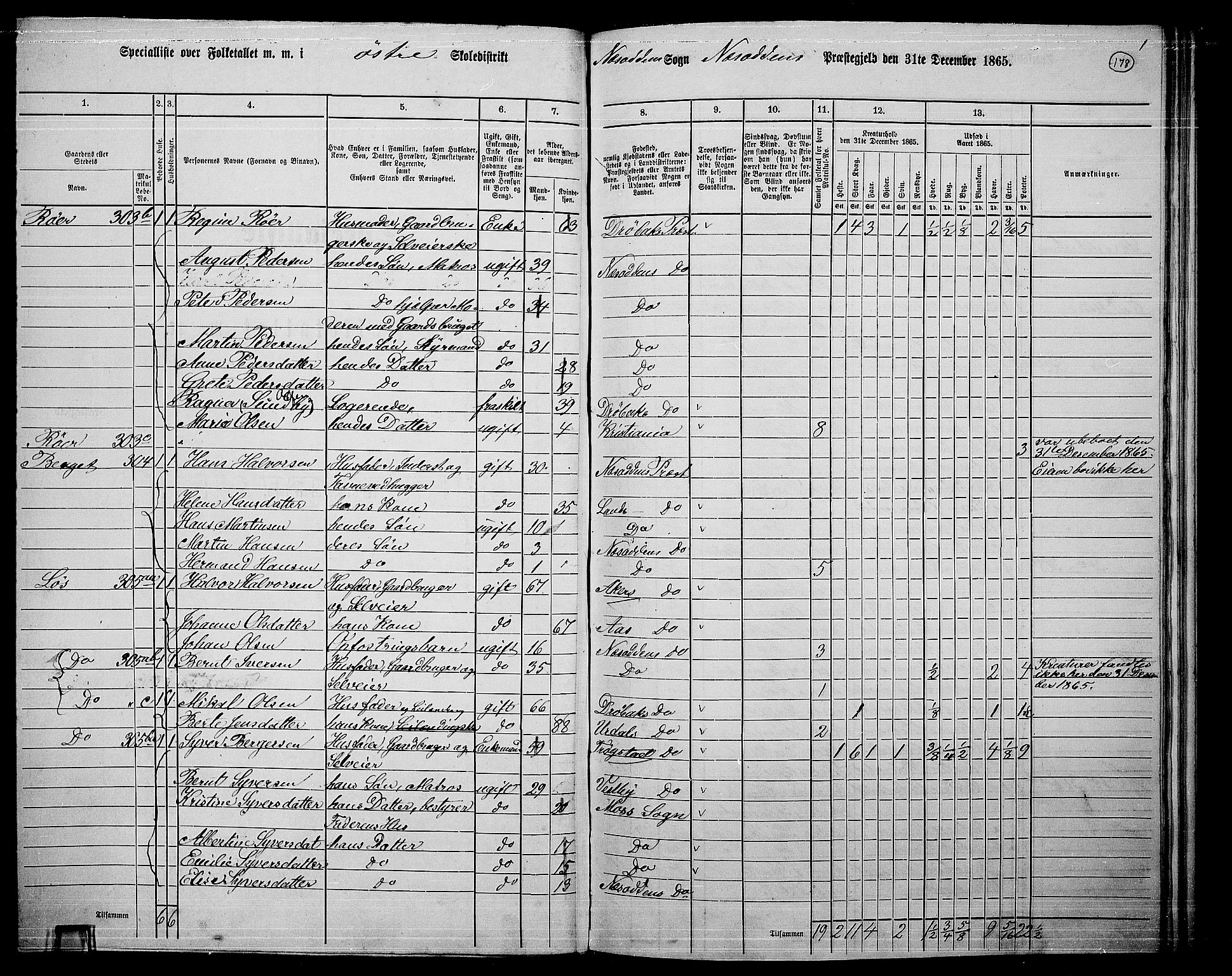 RA, 1865 census for Nesodden, 1865, p. 20