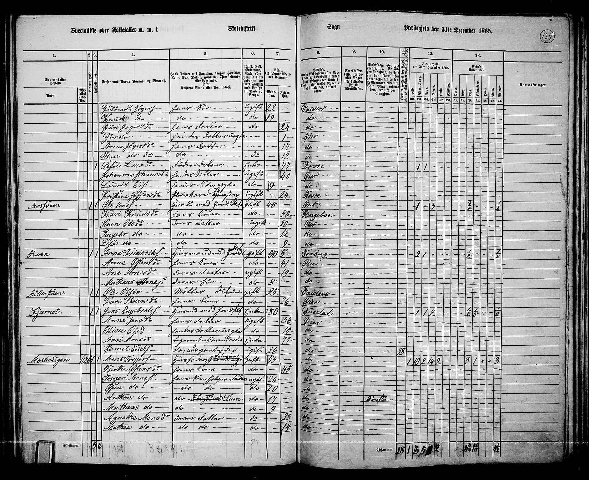 RA, 1865 census for Øyer, 1865, p. 110