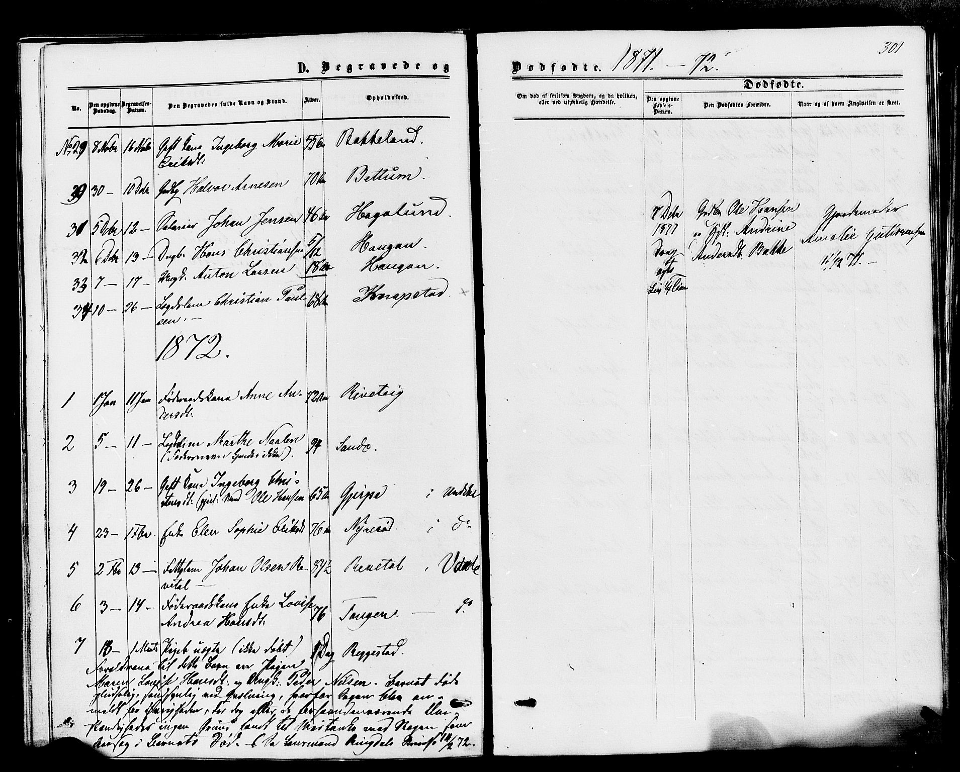 Våle kirkebøker, SAKO/A-334/F/Fa/L0010: Parish register (official) no. I 10, 1861-1877, p. 301